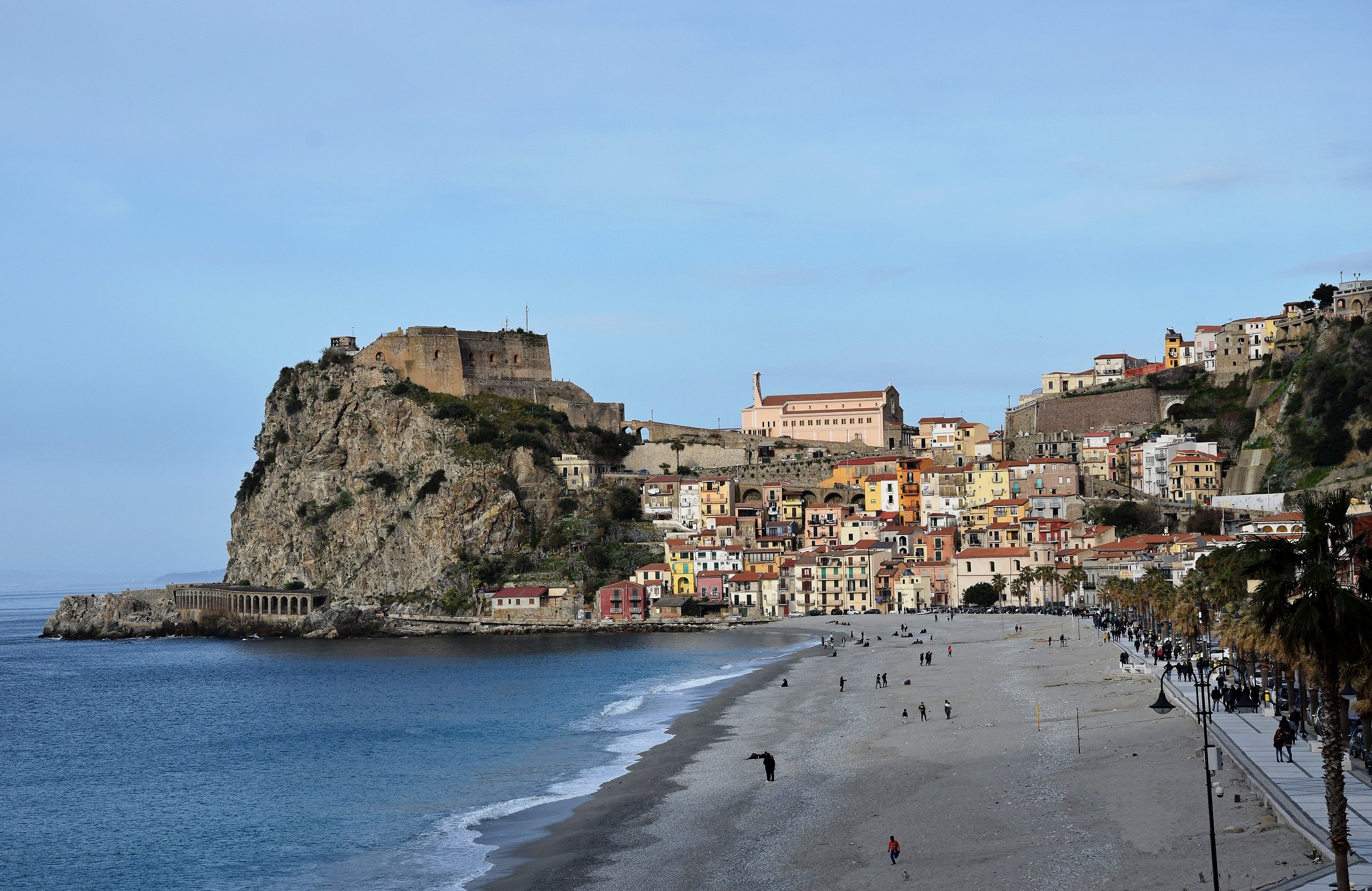 Scilla.Anteprima di primavera