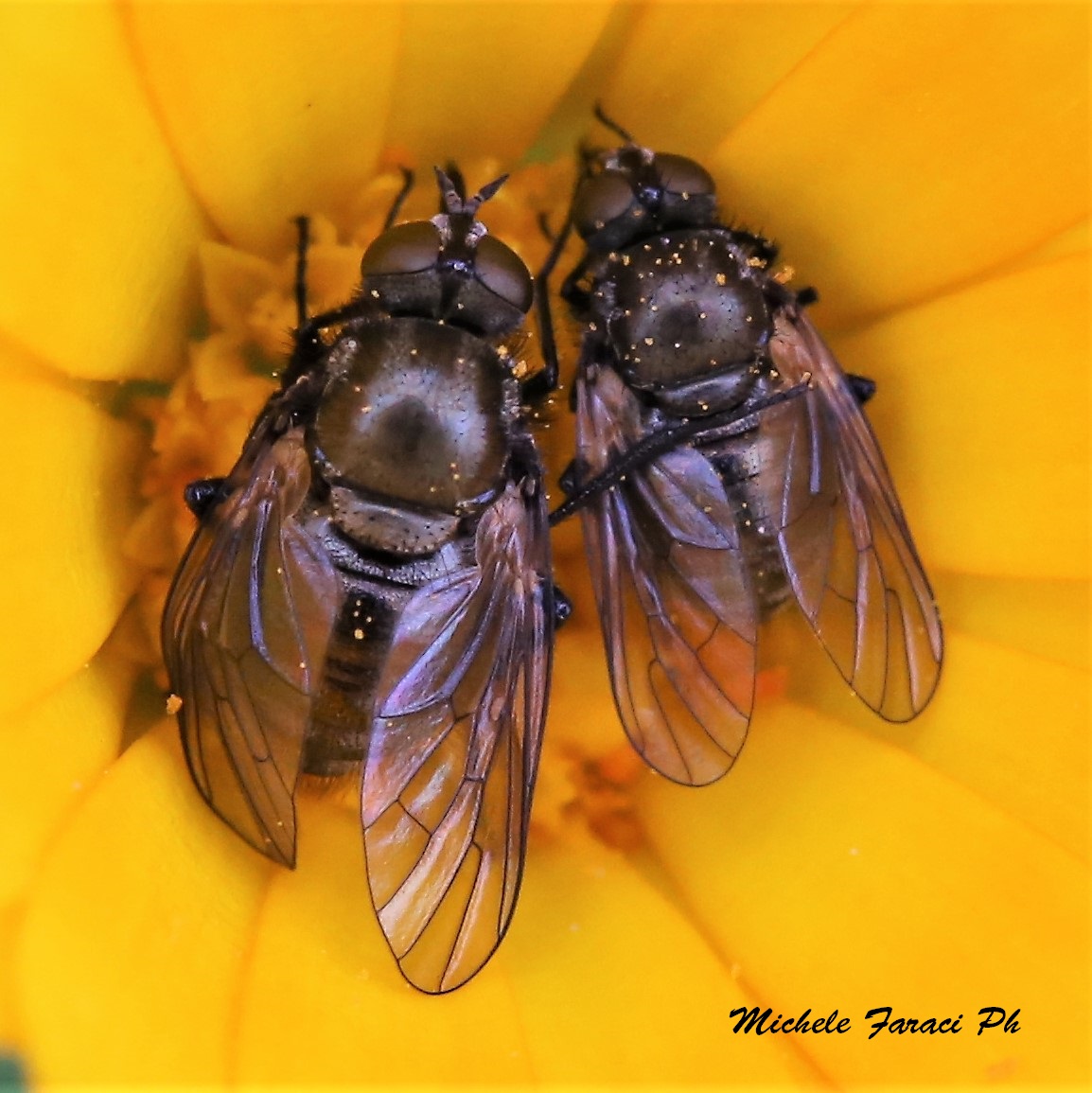 "We have to be close neighbors"