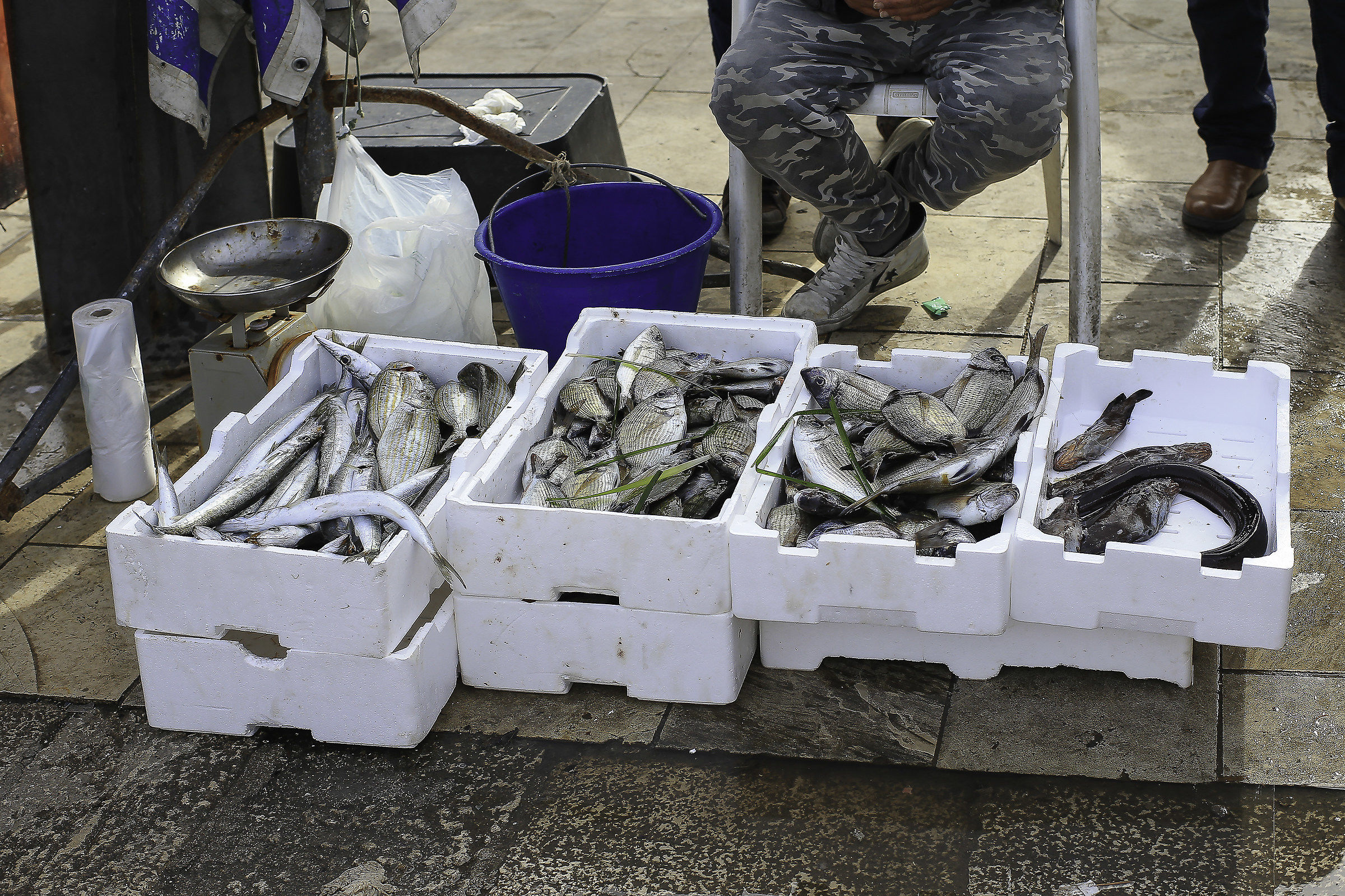 In the morning on the pier of Gallipoli.