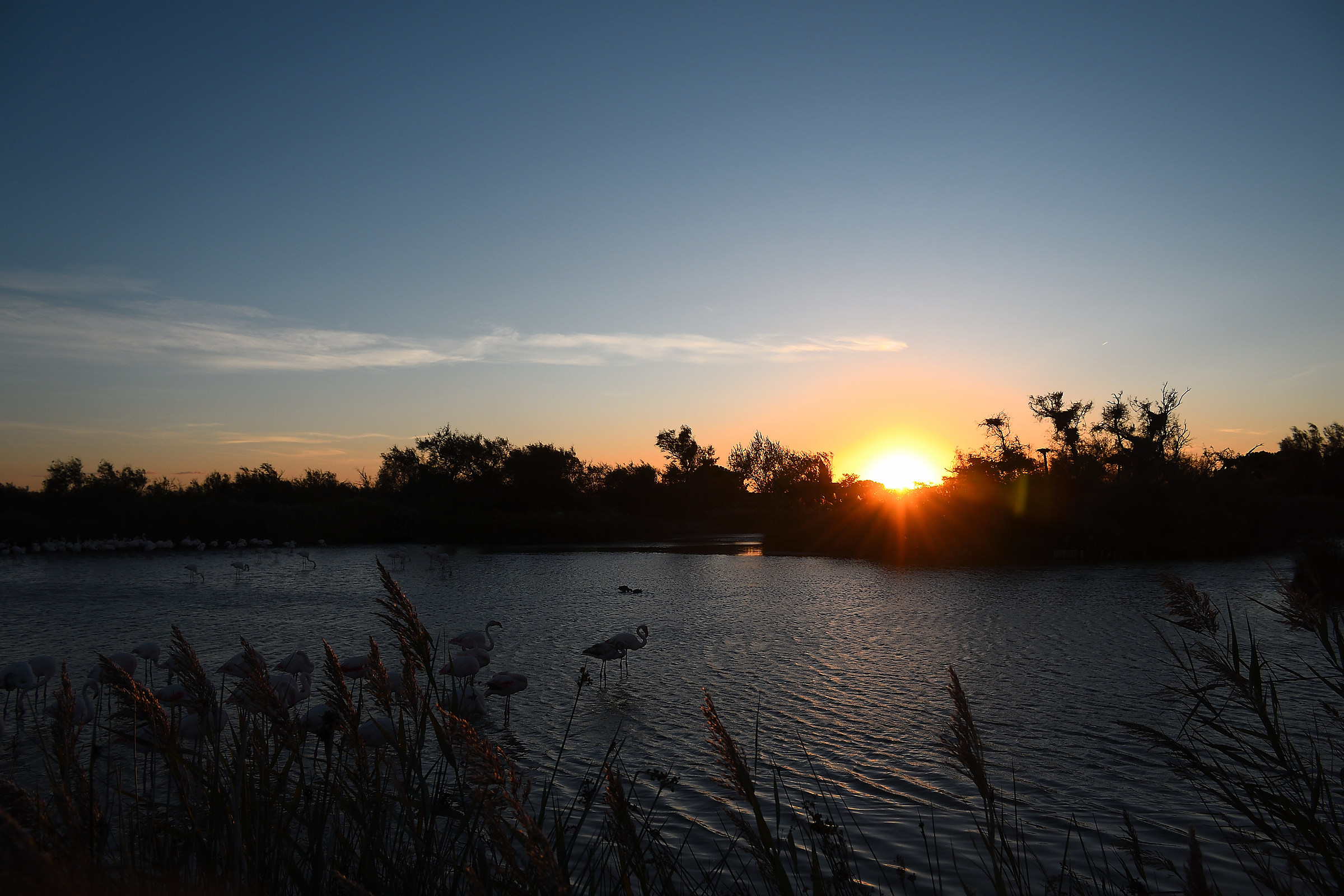Sunset in Camargue