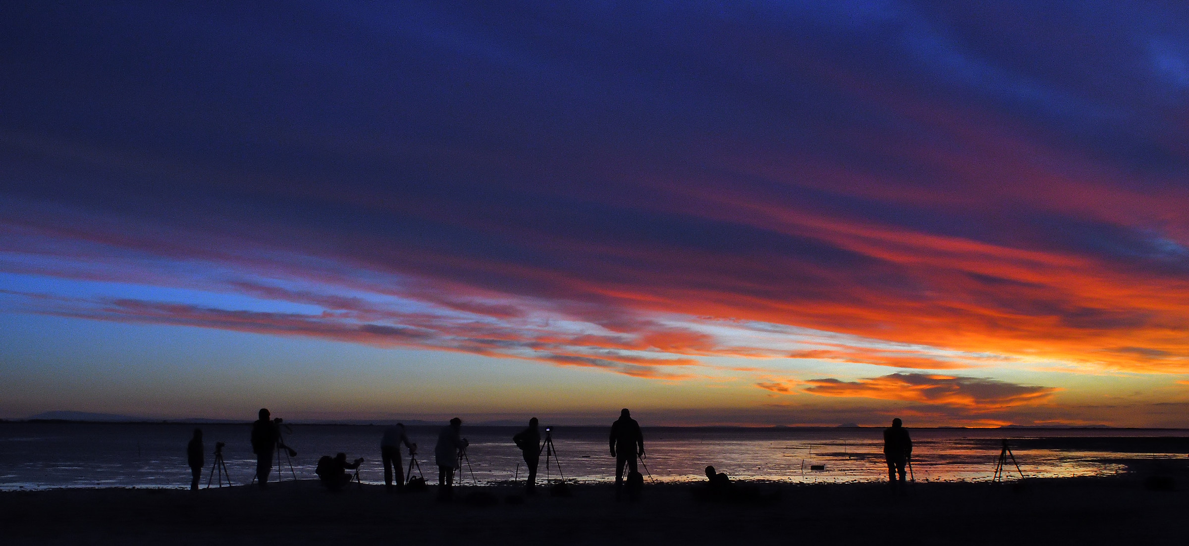 Camargue, waiting for dawn