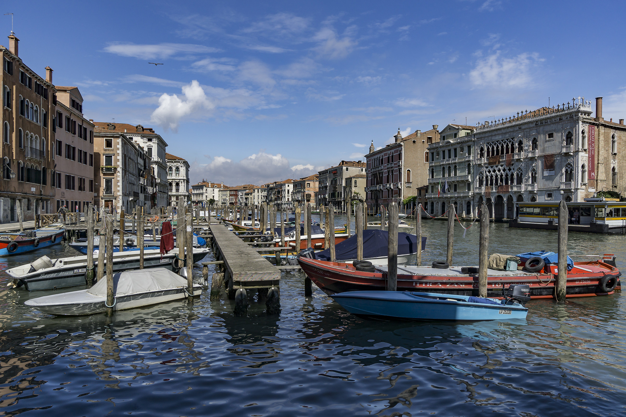 Canal Grande a Rialto con la Ca' d'Oro - 1