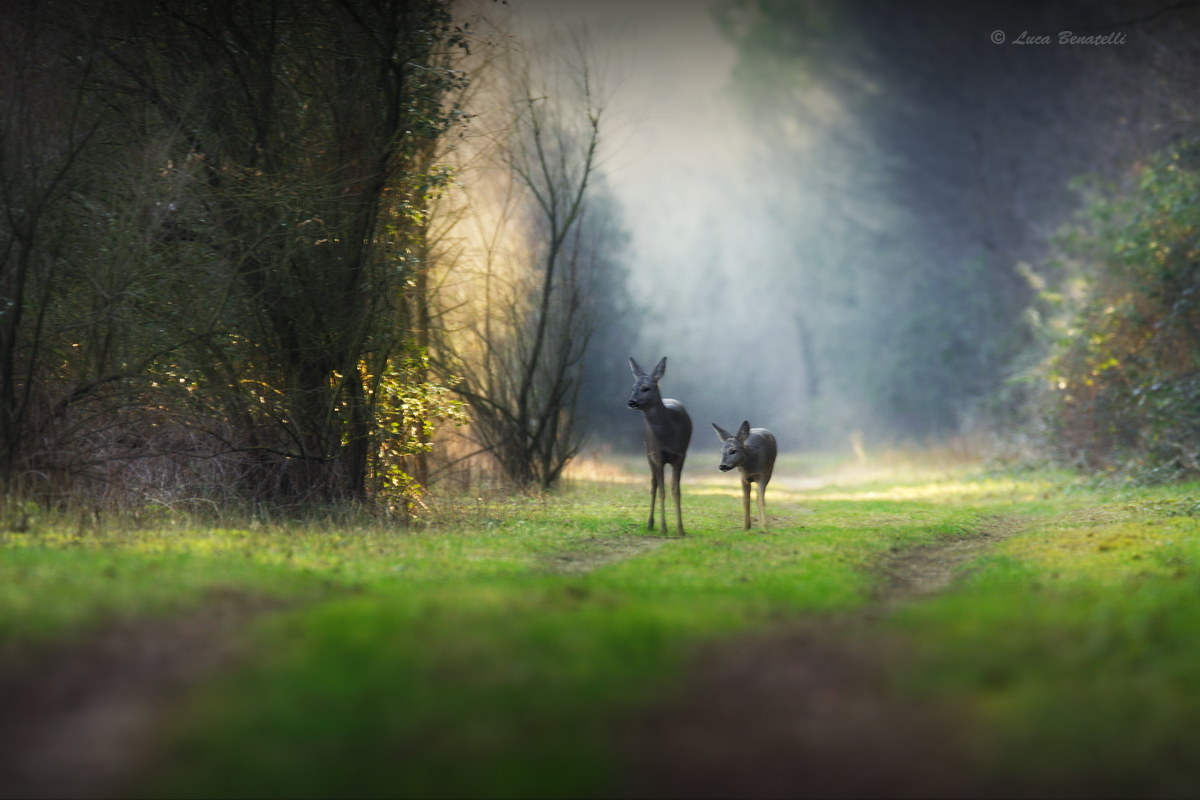 Uno scorcio della Valle