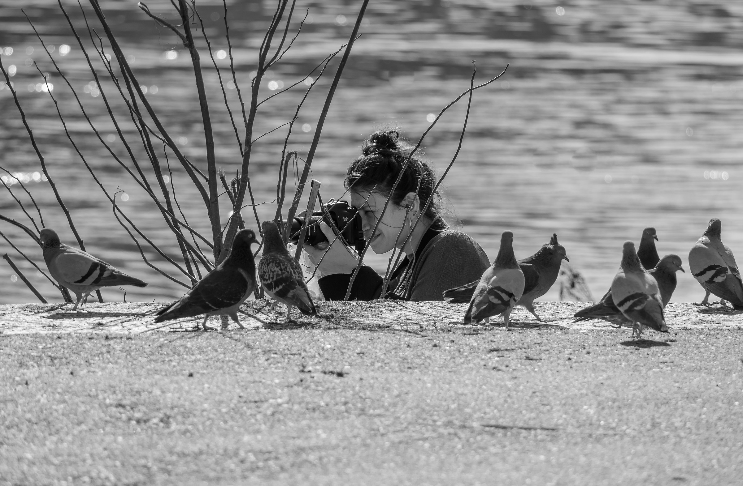 camouflage school ........