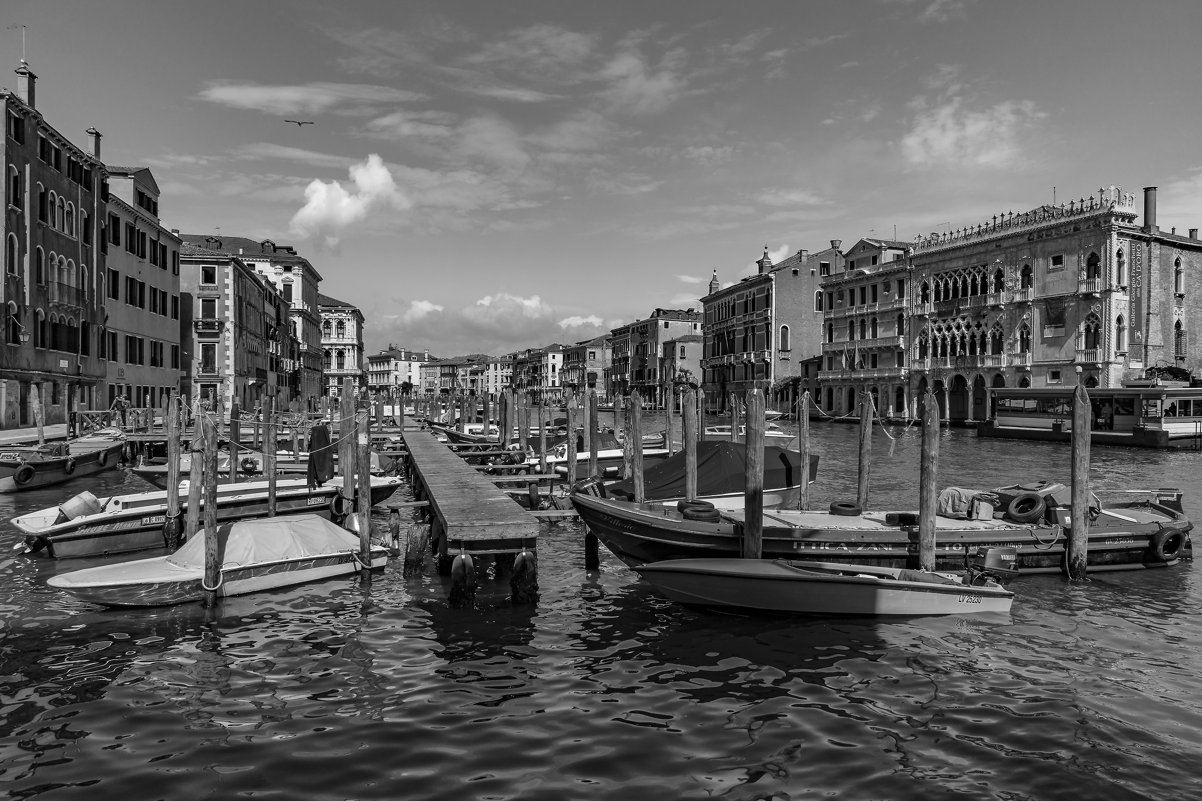 Grand Canal in Rialto with the Ca 'd'Oro - 2
