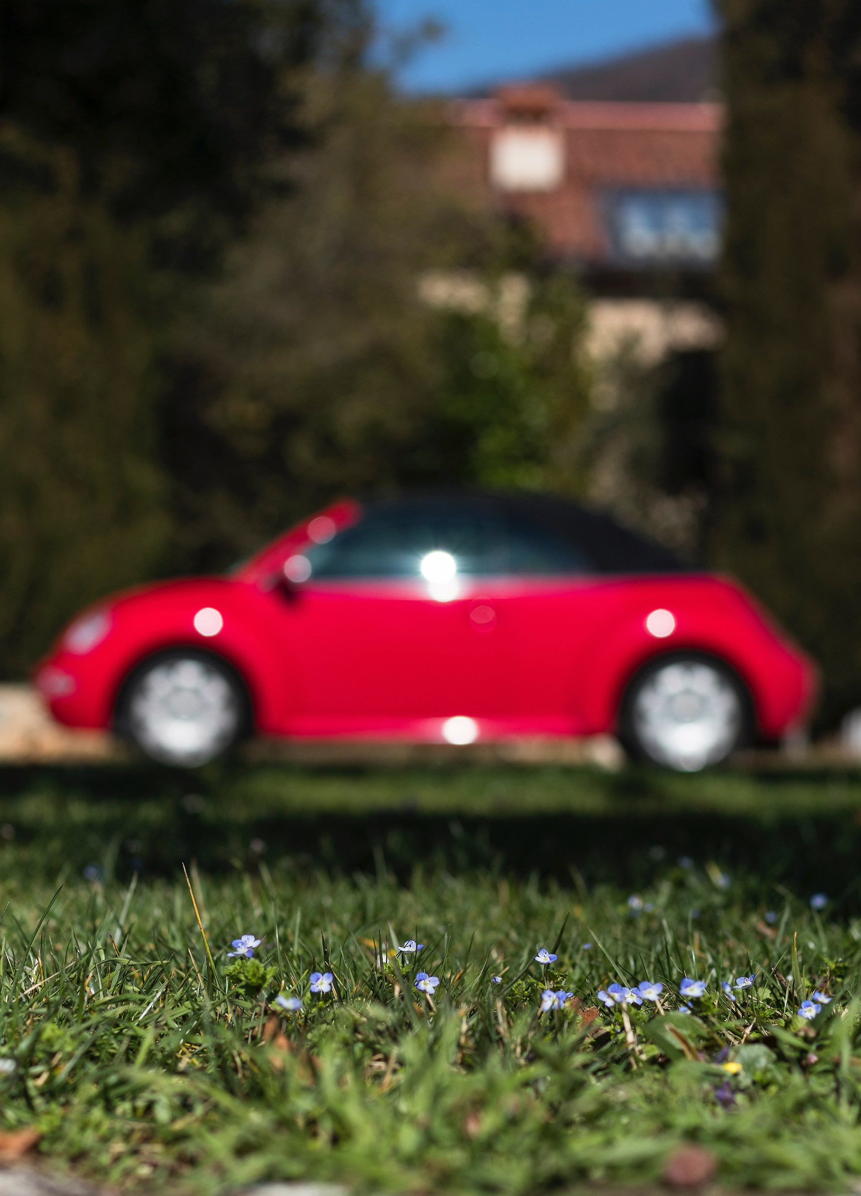 09/03, shy beginnings of spring