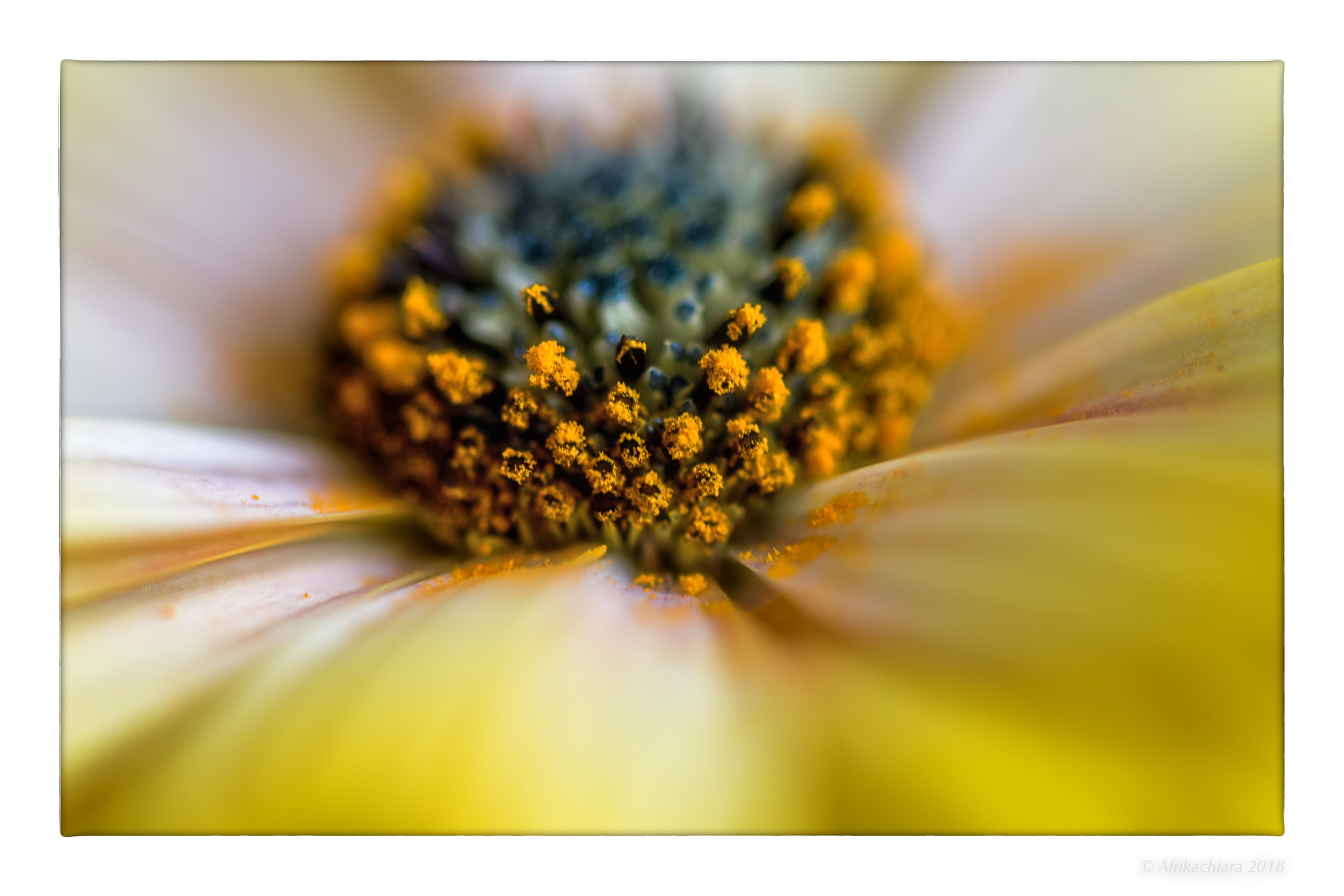 Spring knocks on doors ...