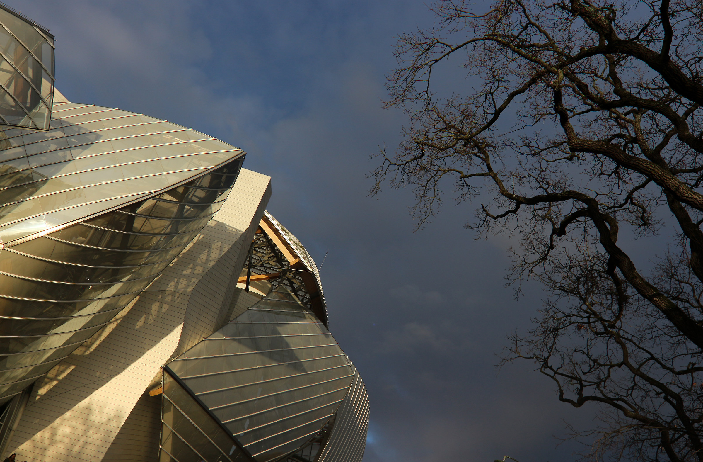 Earth Wars : Nature strikes back