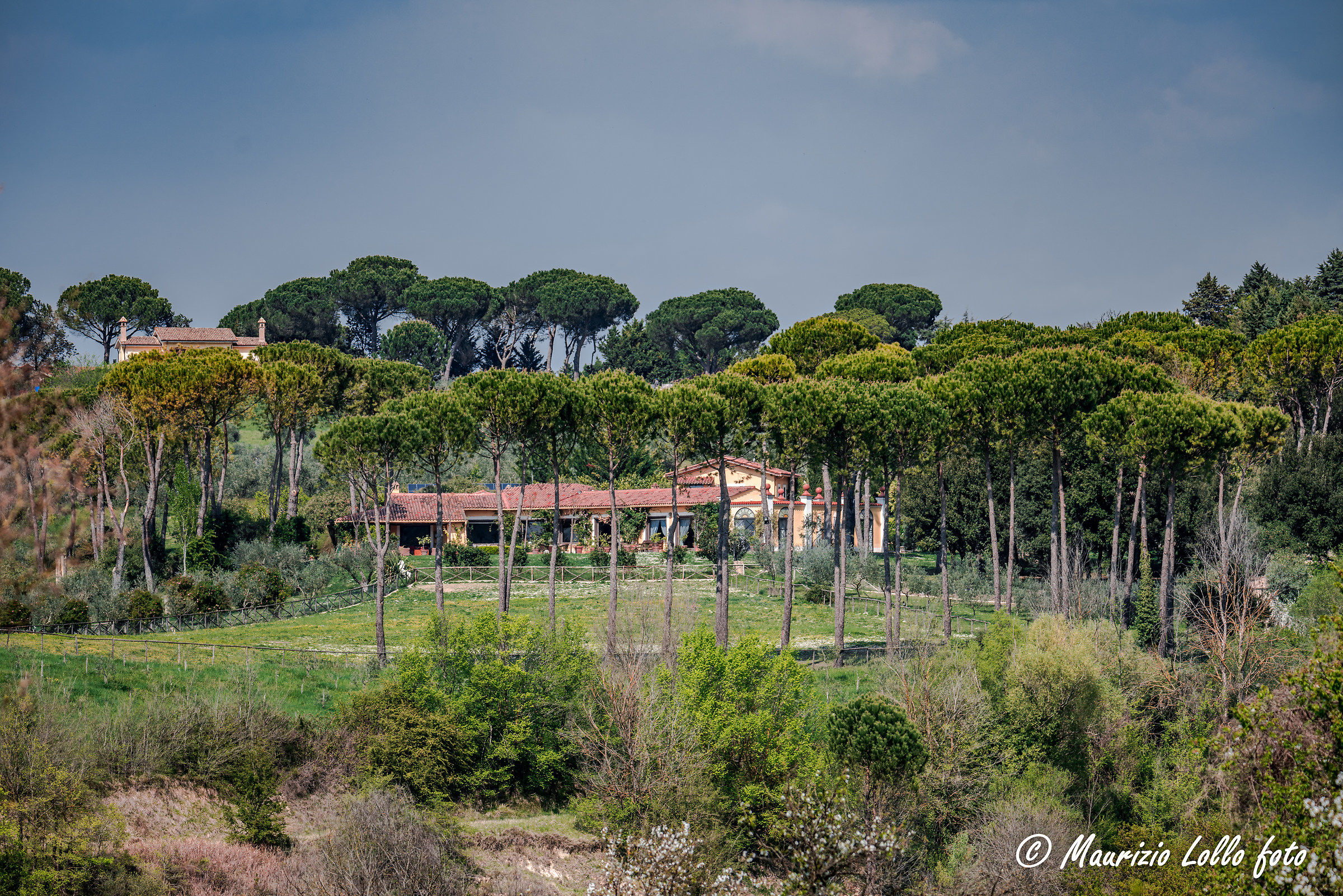 A 'home' among the pines