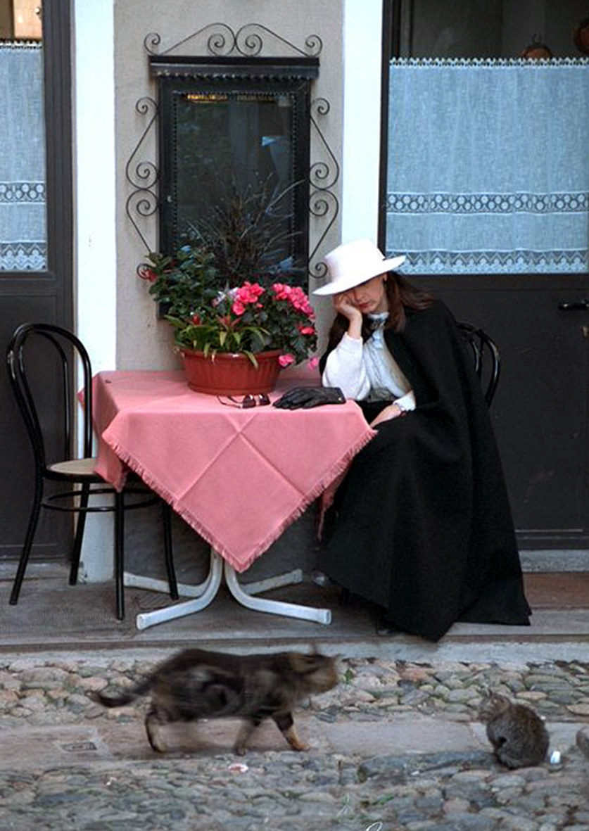 Cats will know it (1)