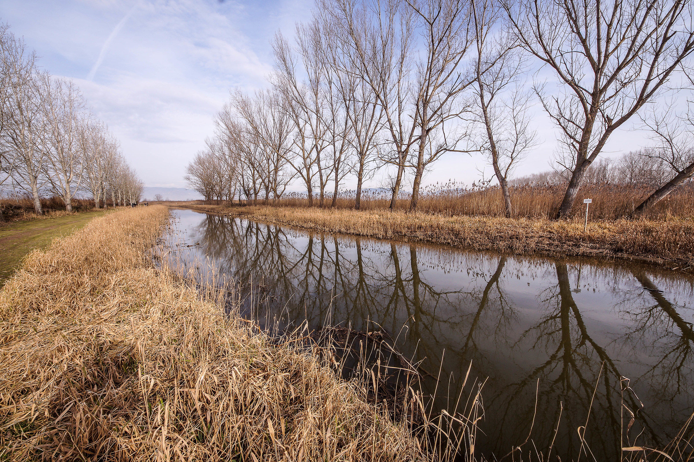 placid and treacherous