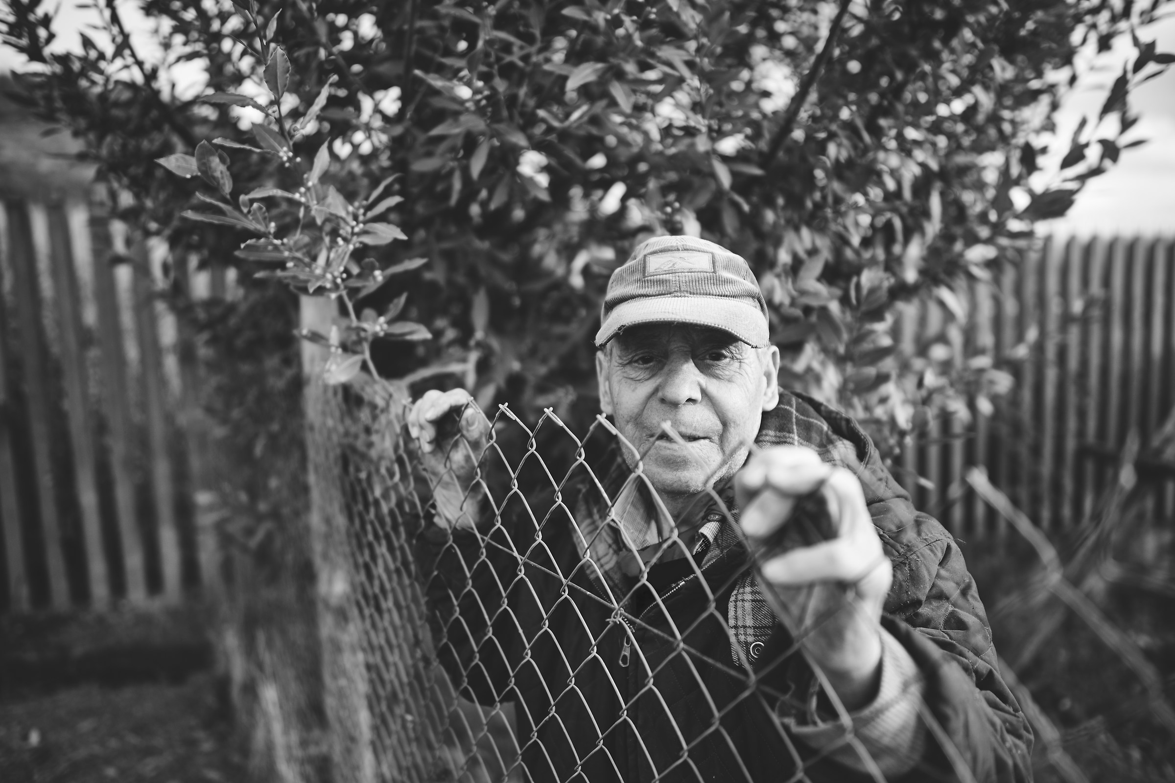 the grandfather 2 ..