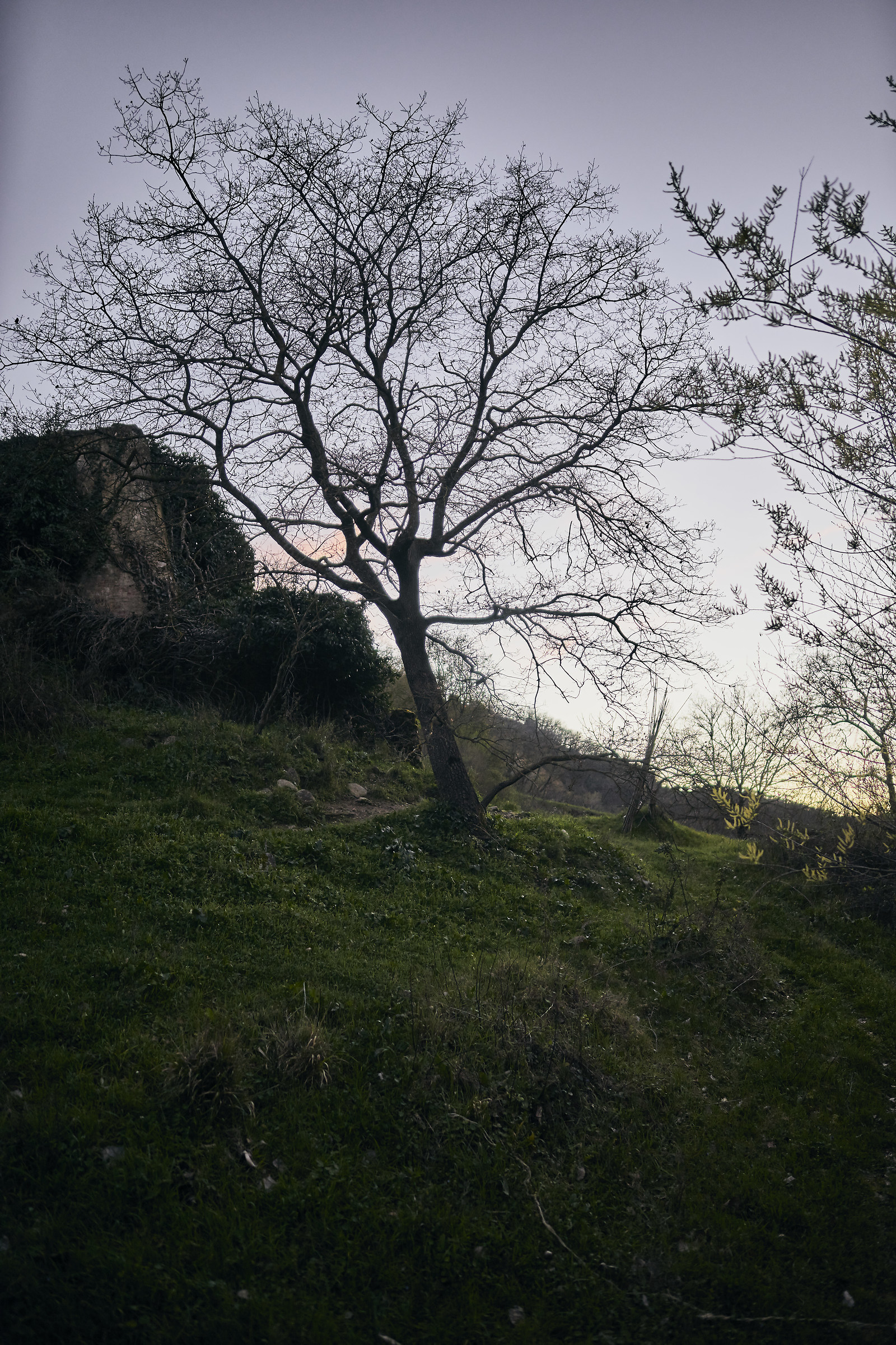 Evenings in the winter end