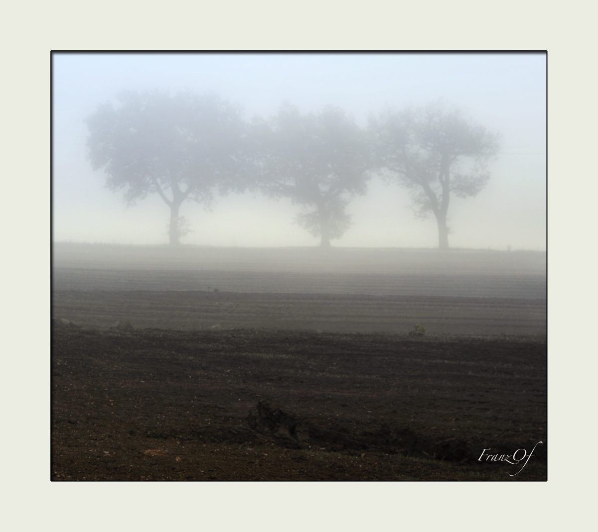 countryside in Treia