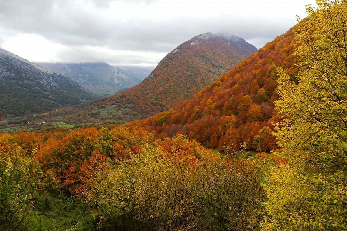 Parco nazionale d'Abruzzo
