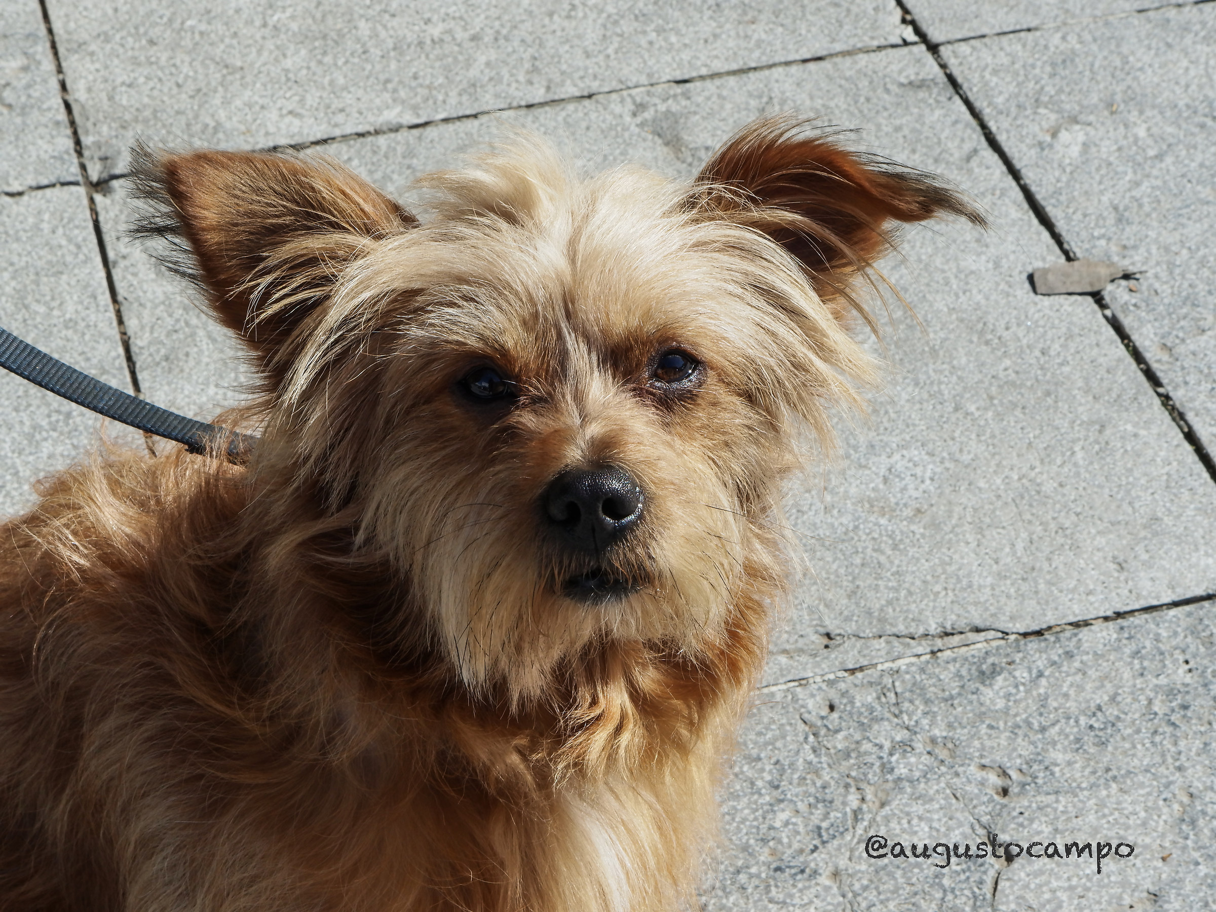 A look of sweetness.