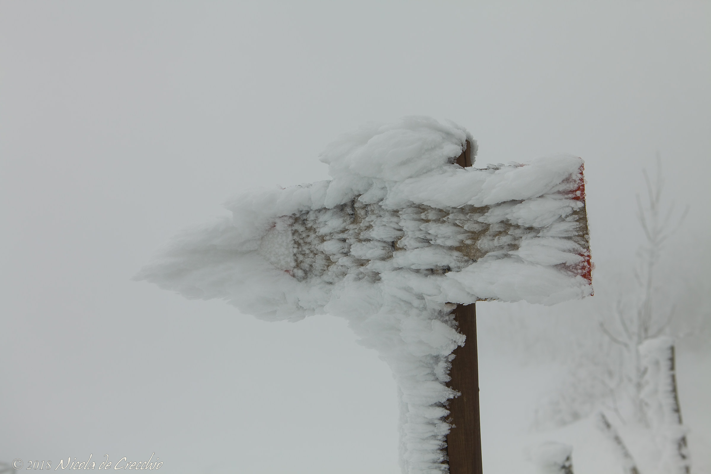 Directions to the Burian.