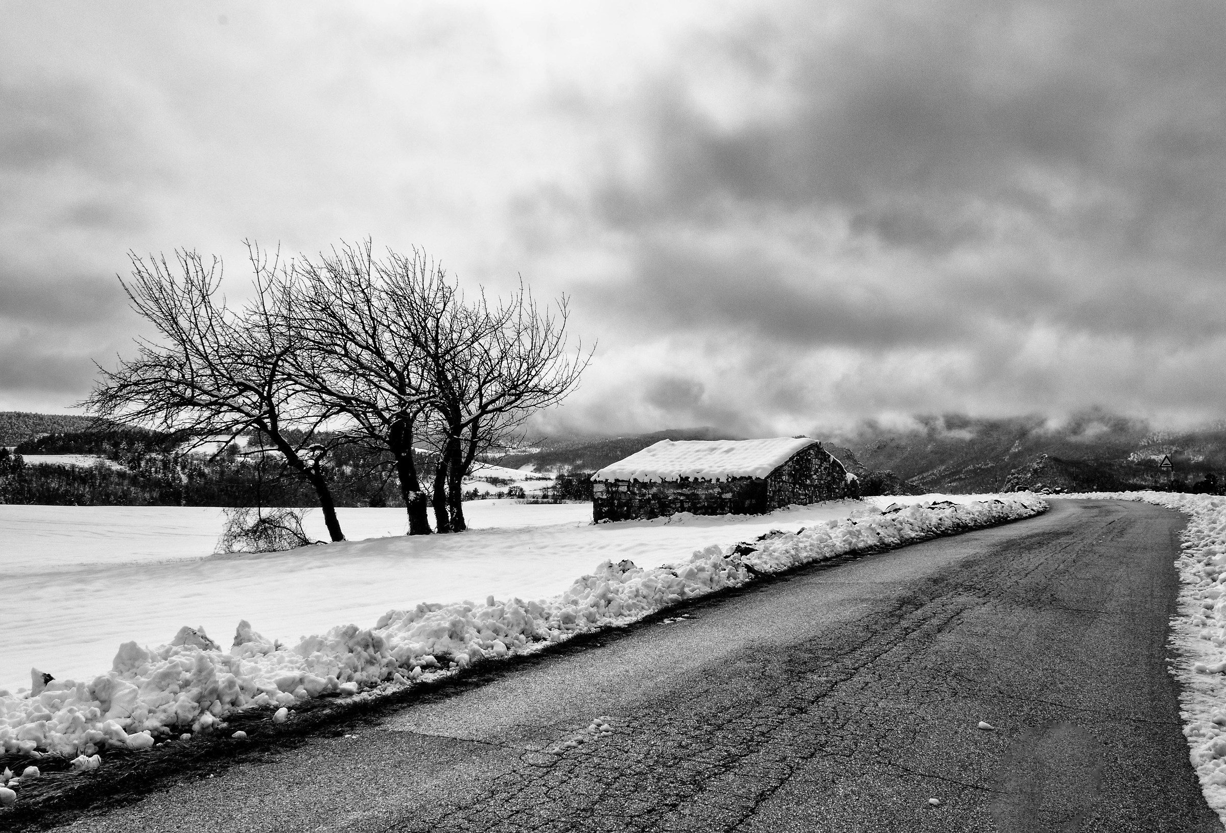 The road, the cottage, the cherry tree