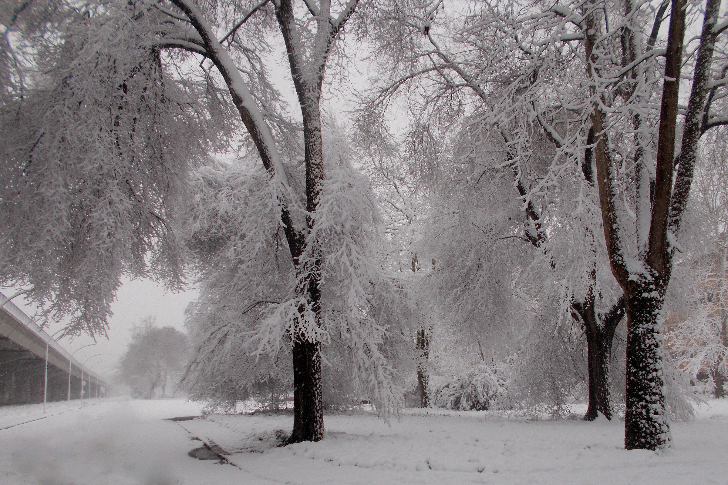 Ultima nevicata a Roma