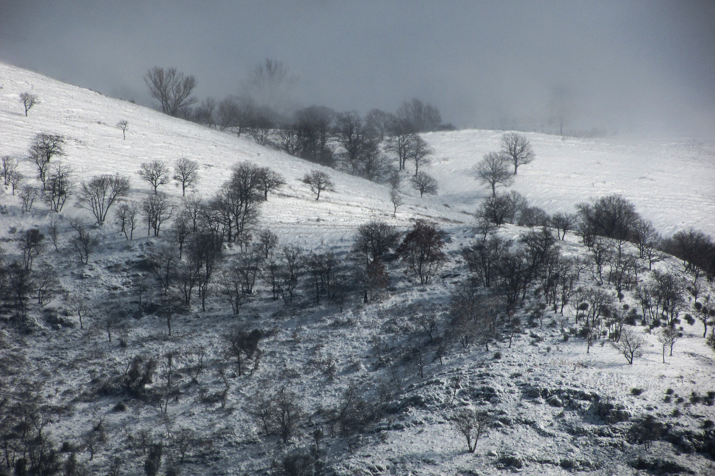 Coltre Sottile di Neve