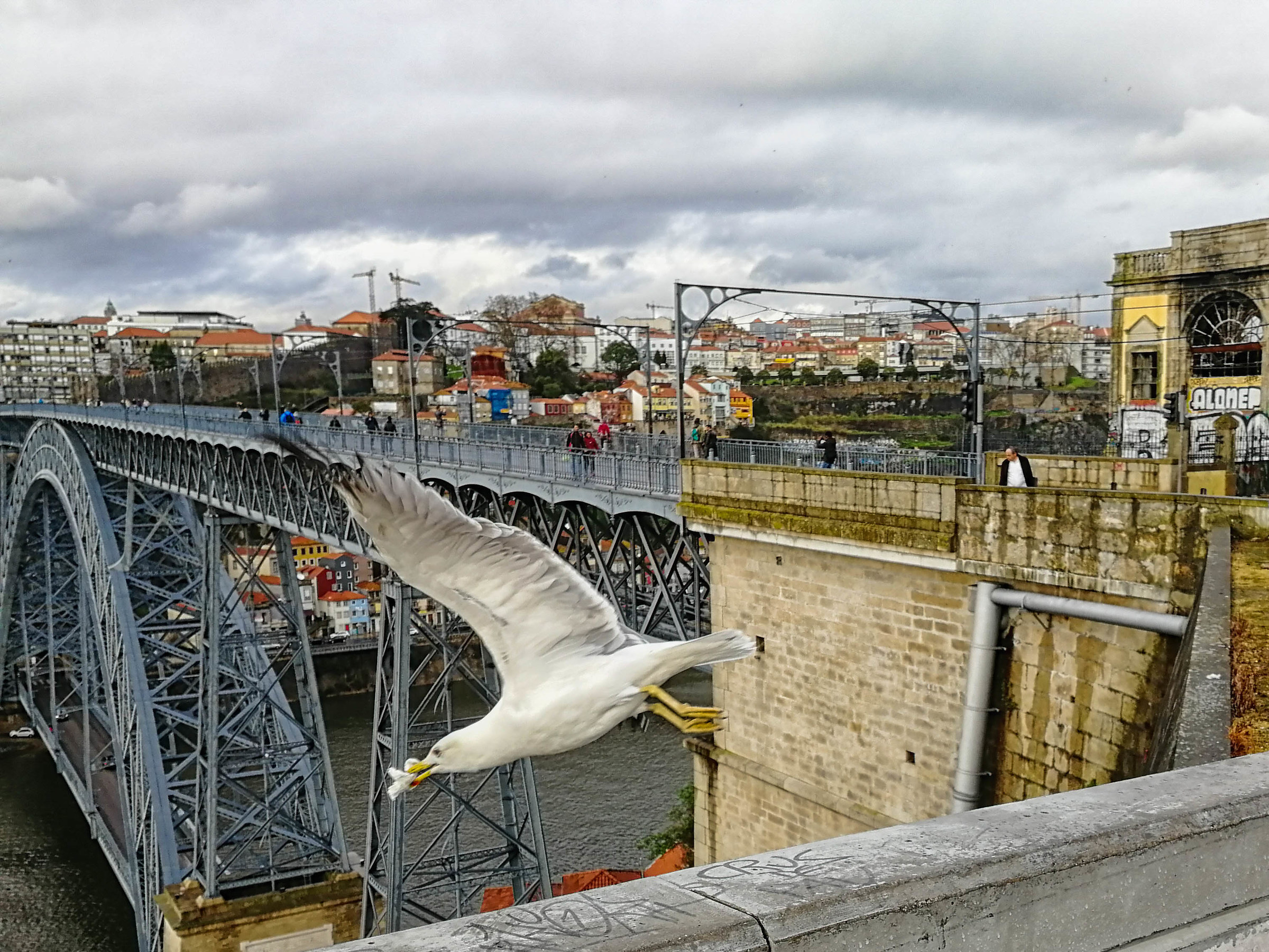 In flight on the bridge