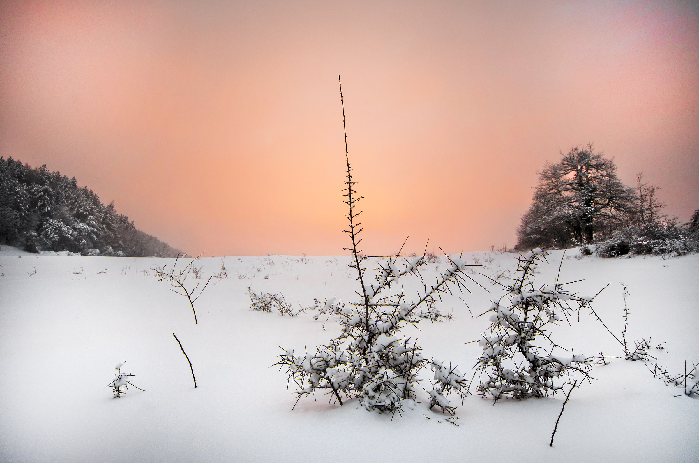Tramonti inaspettati