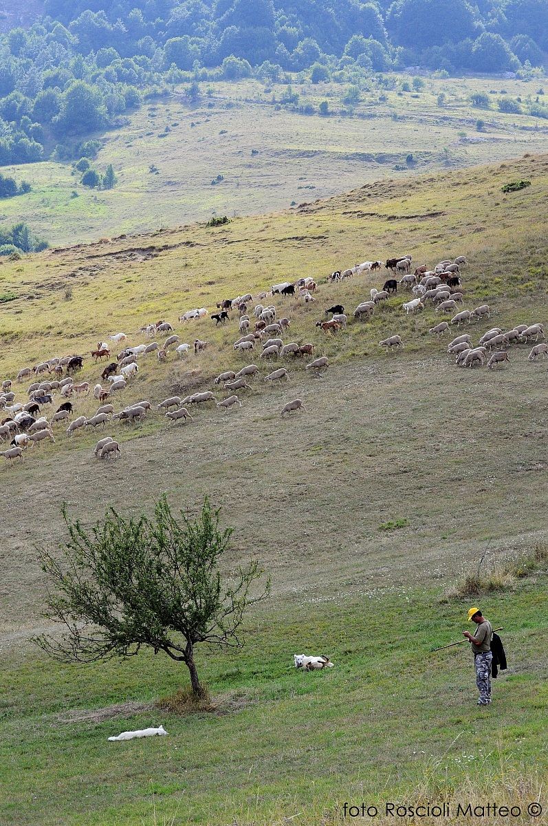 Economics Abruzzo ...