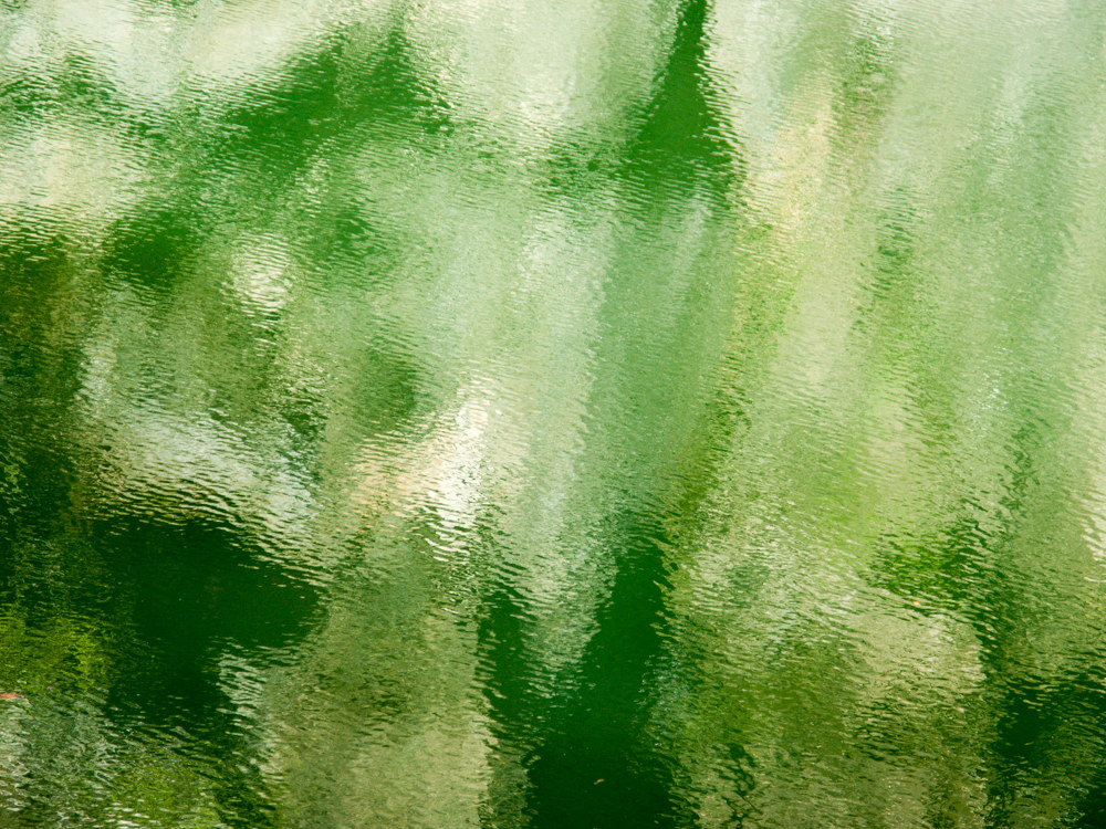 The shape of the water