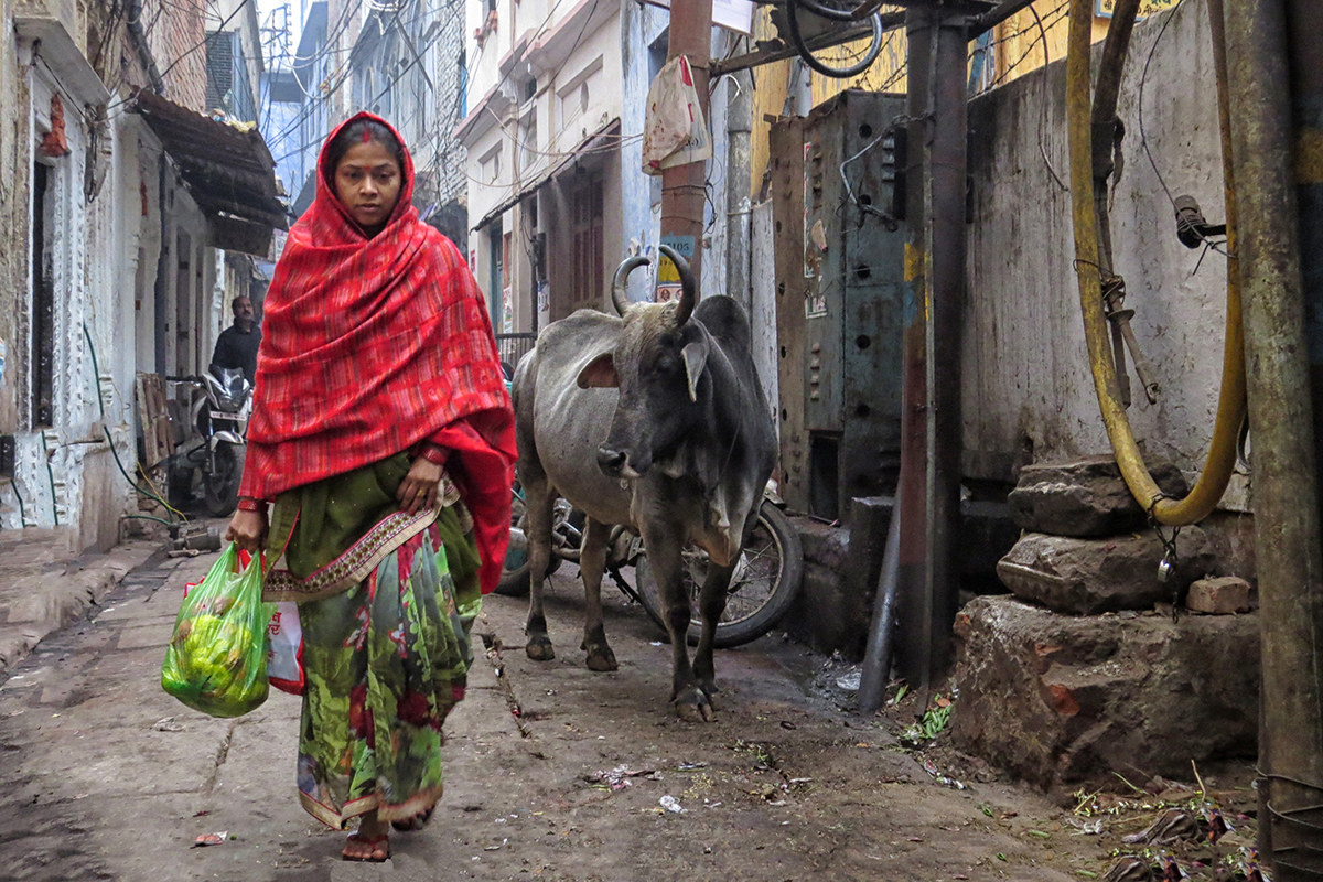Varanasi - vita nei Gali 2