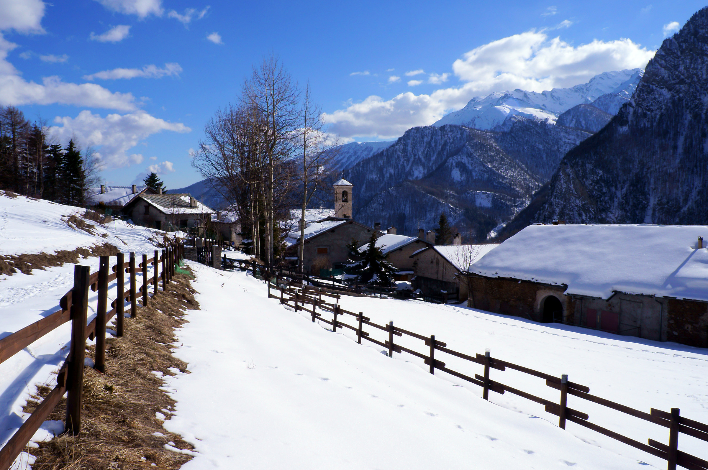 the snow-covered avenue