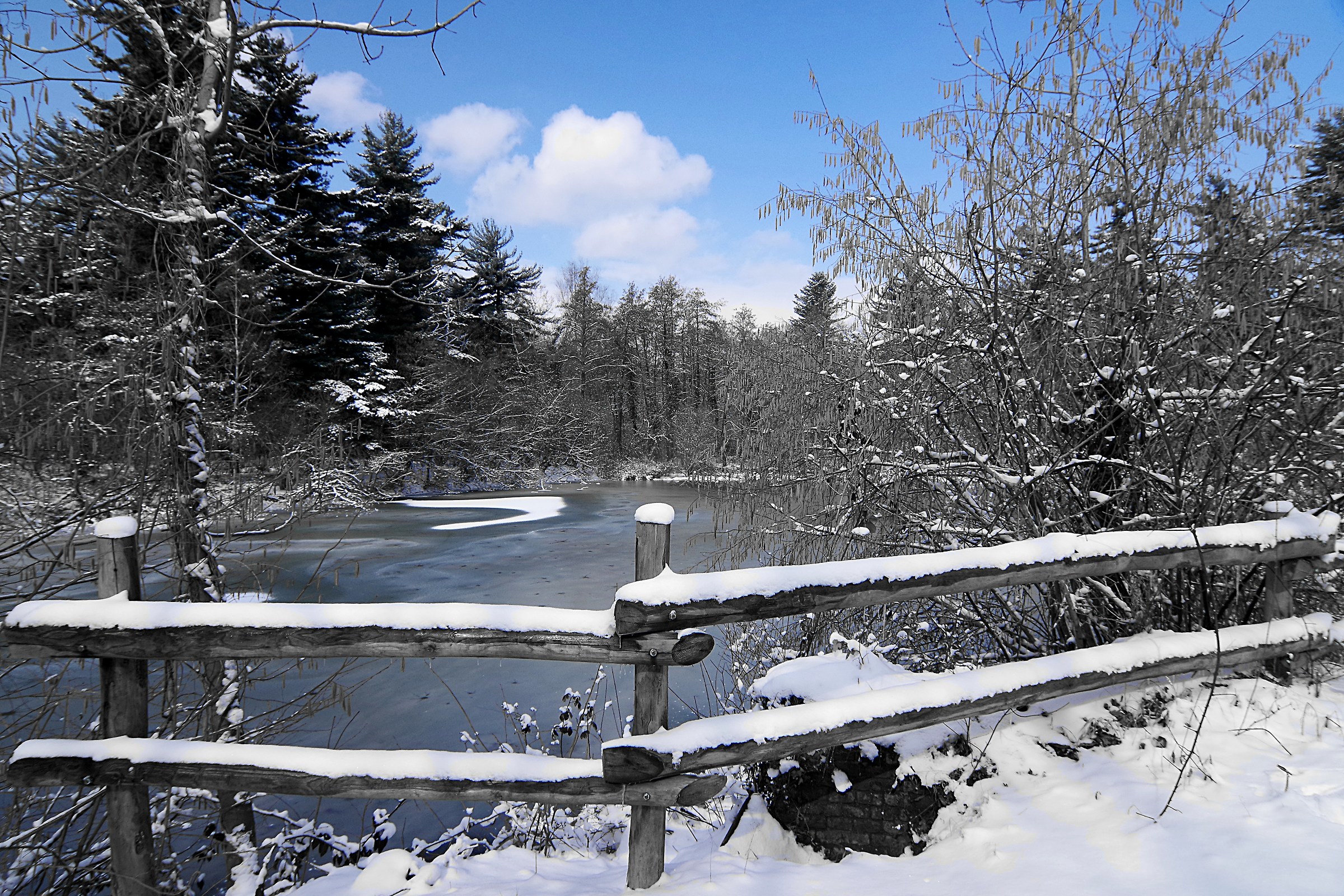 Winter at the Mandria