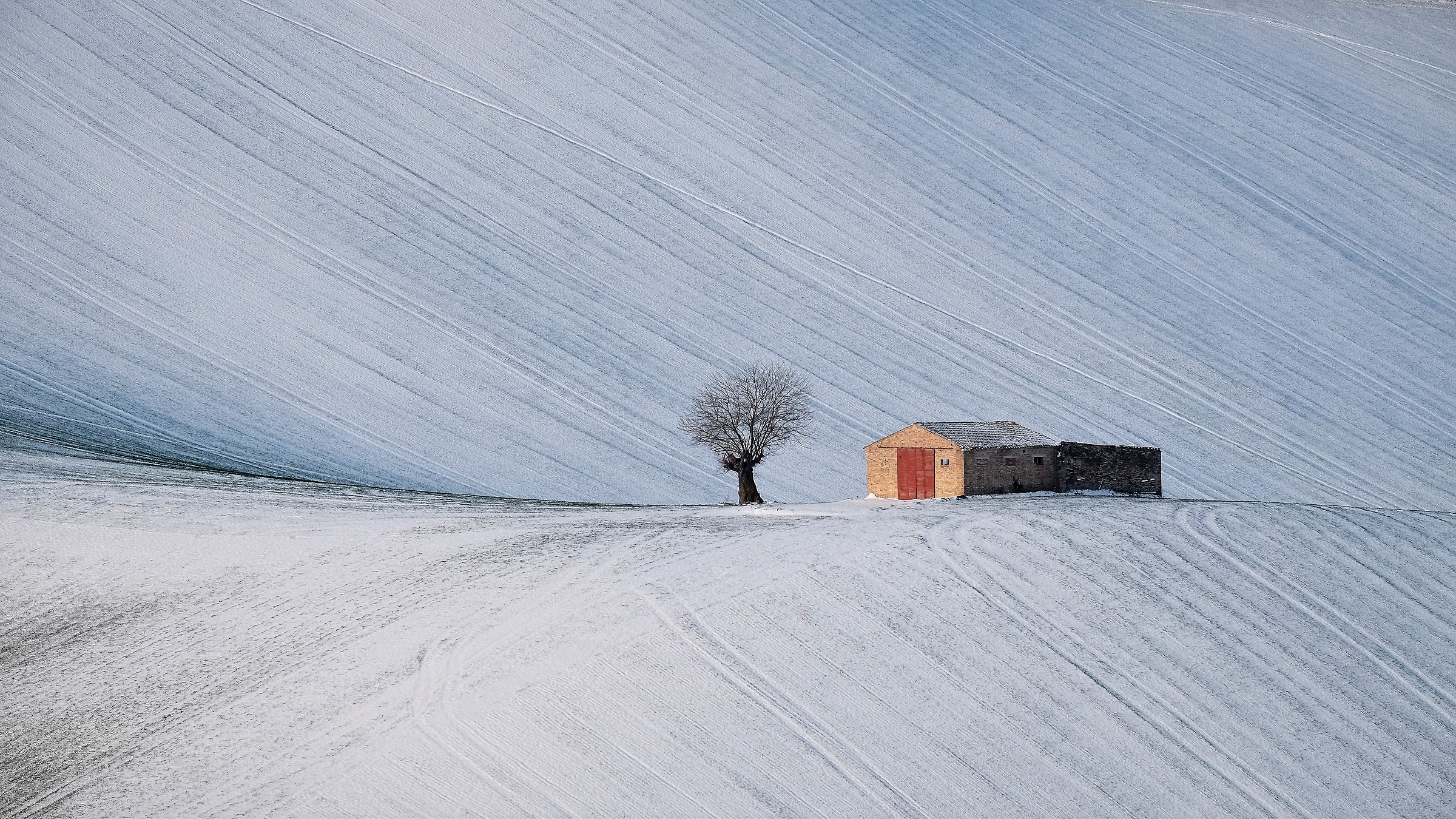 and the cottage became a refuge