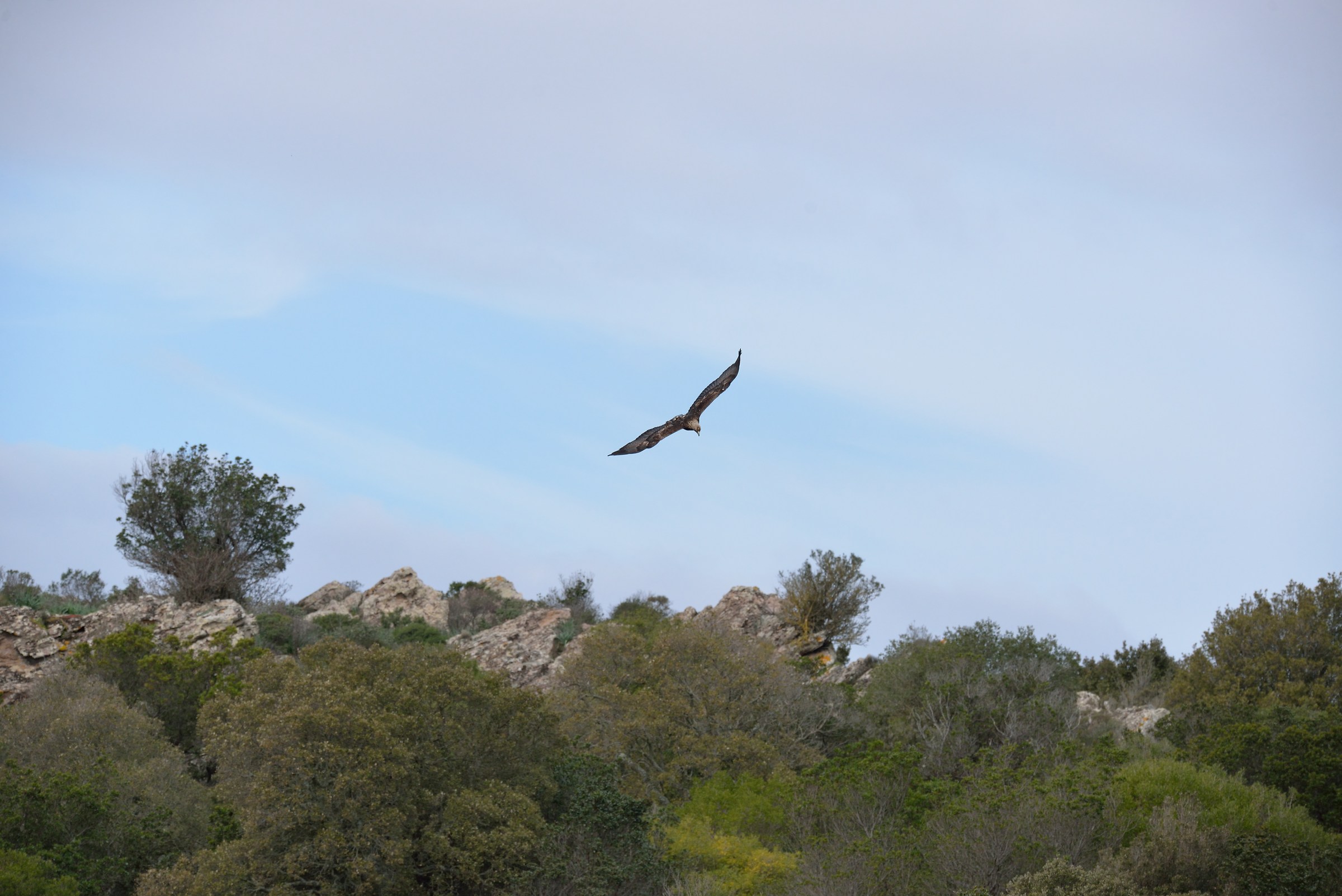 tutto sotto controllo