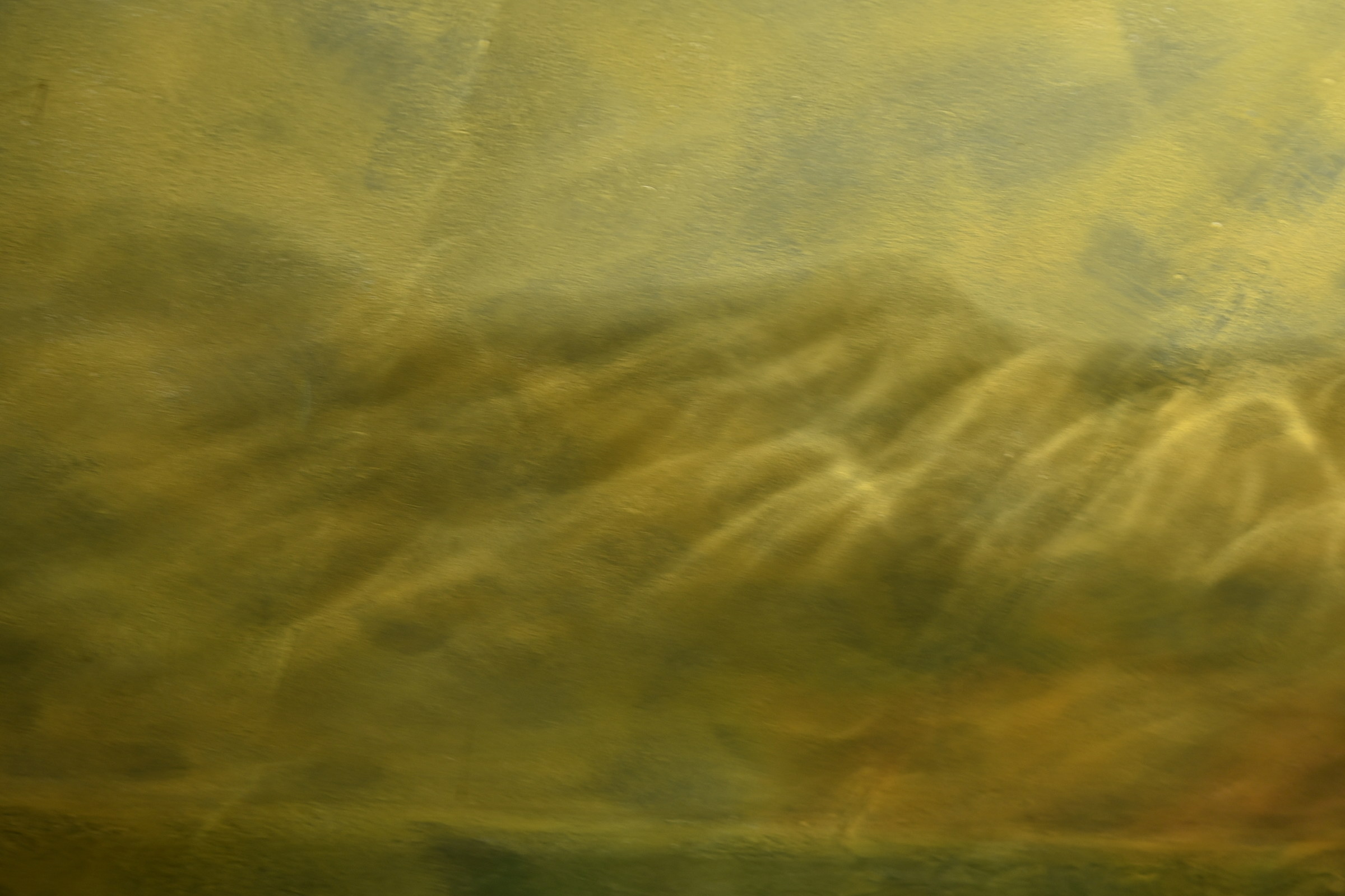 Laboratorio Tiziano 7