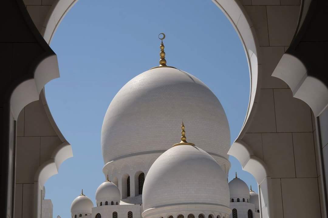 White mosque bin zayed