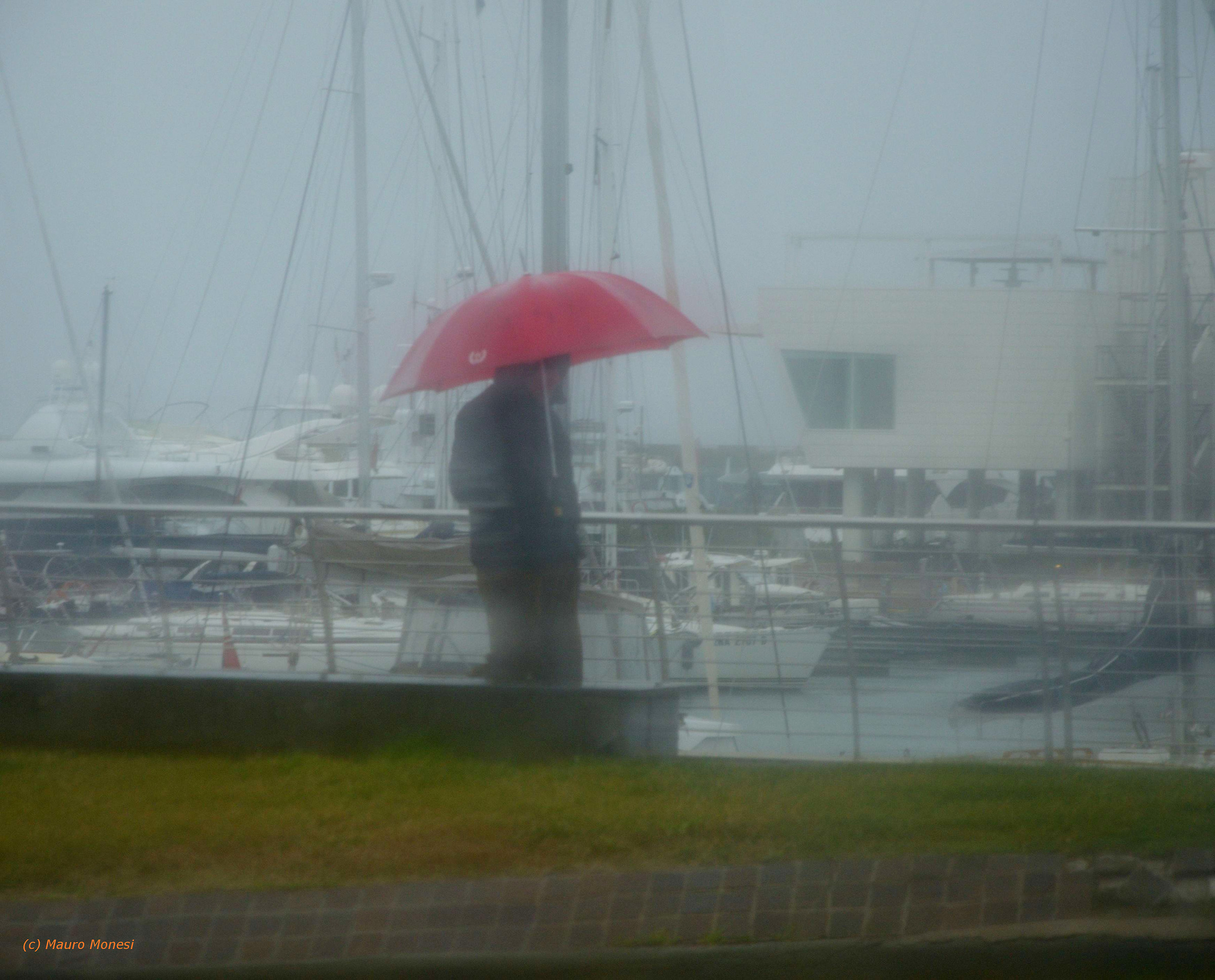 Nebbia e pioggia al porto
