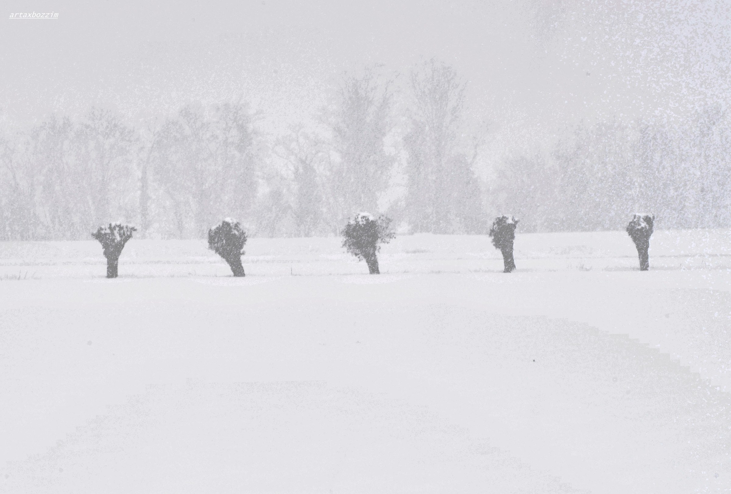 it's snowing! it's snowing !