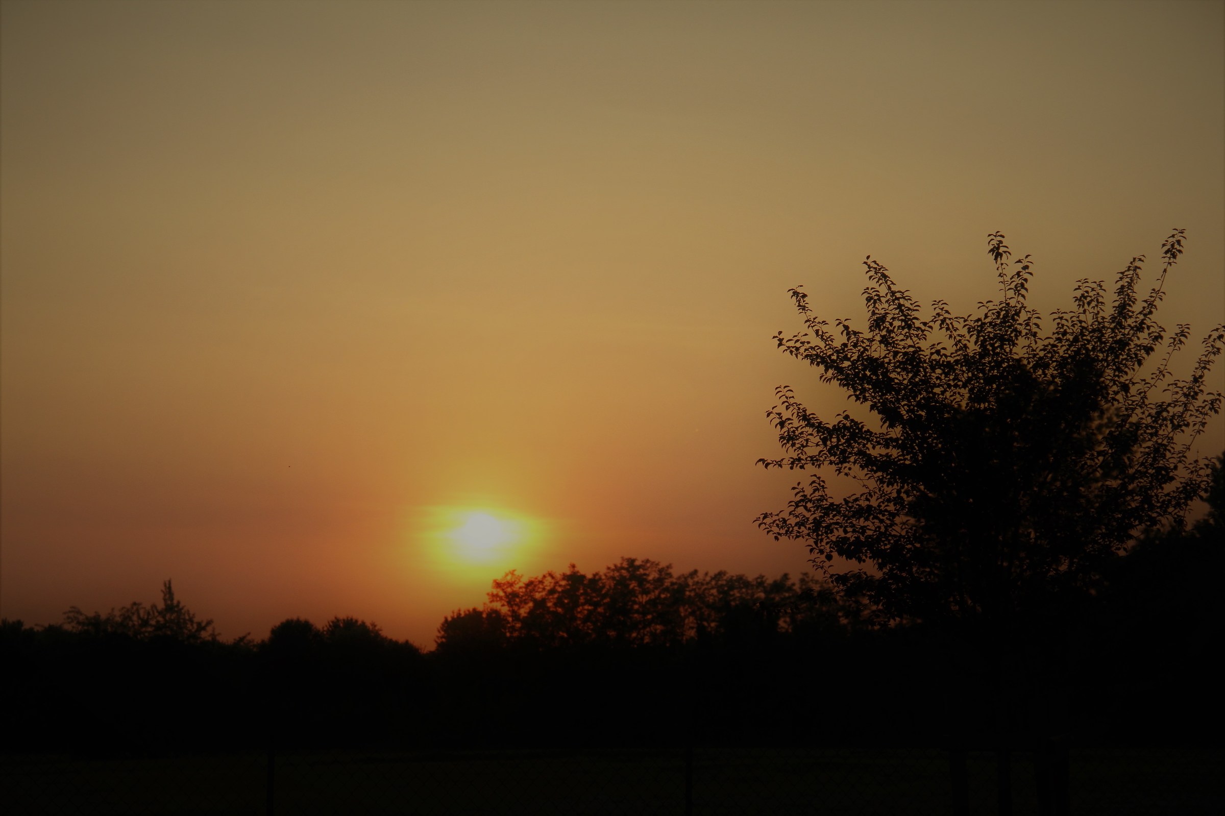 Untitled Photo