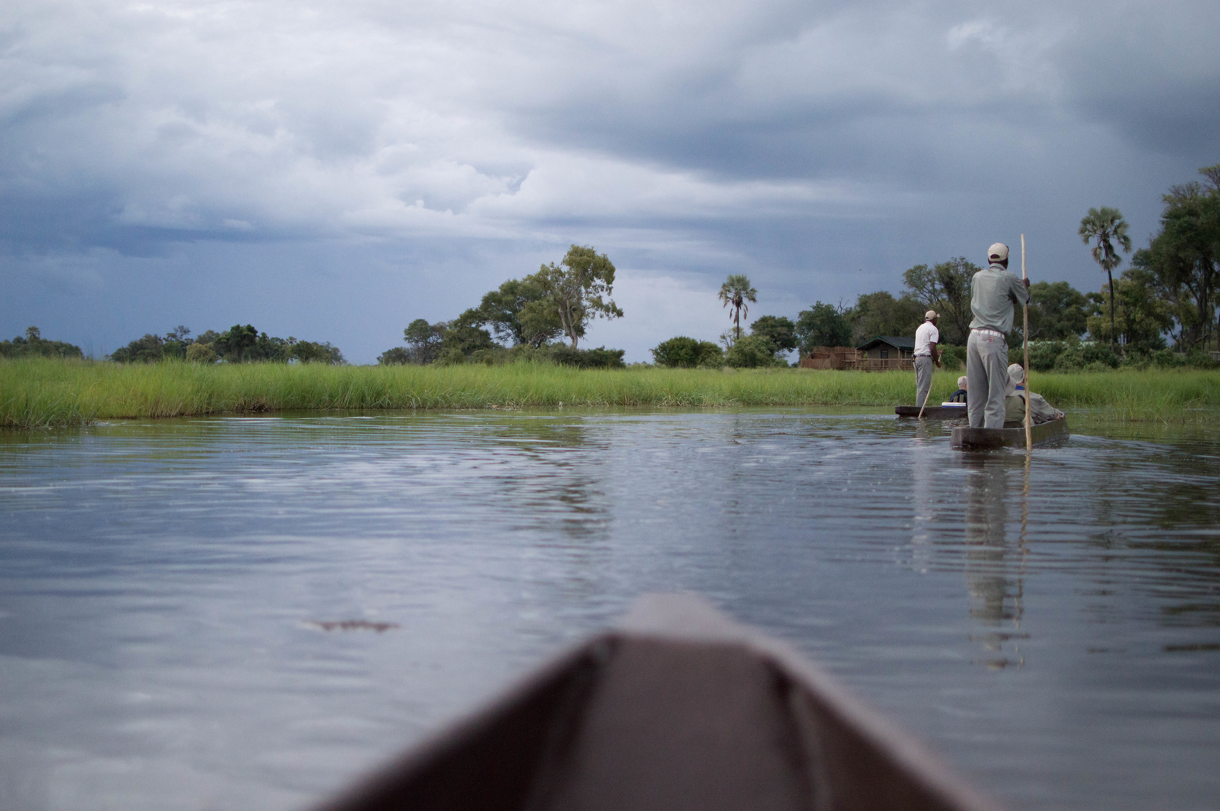 botswana, okavango delta