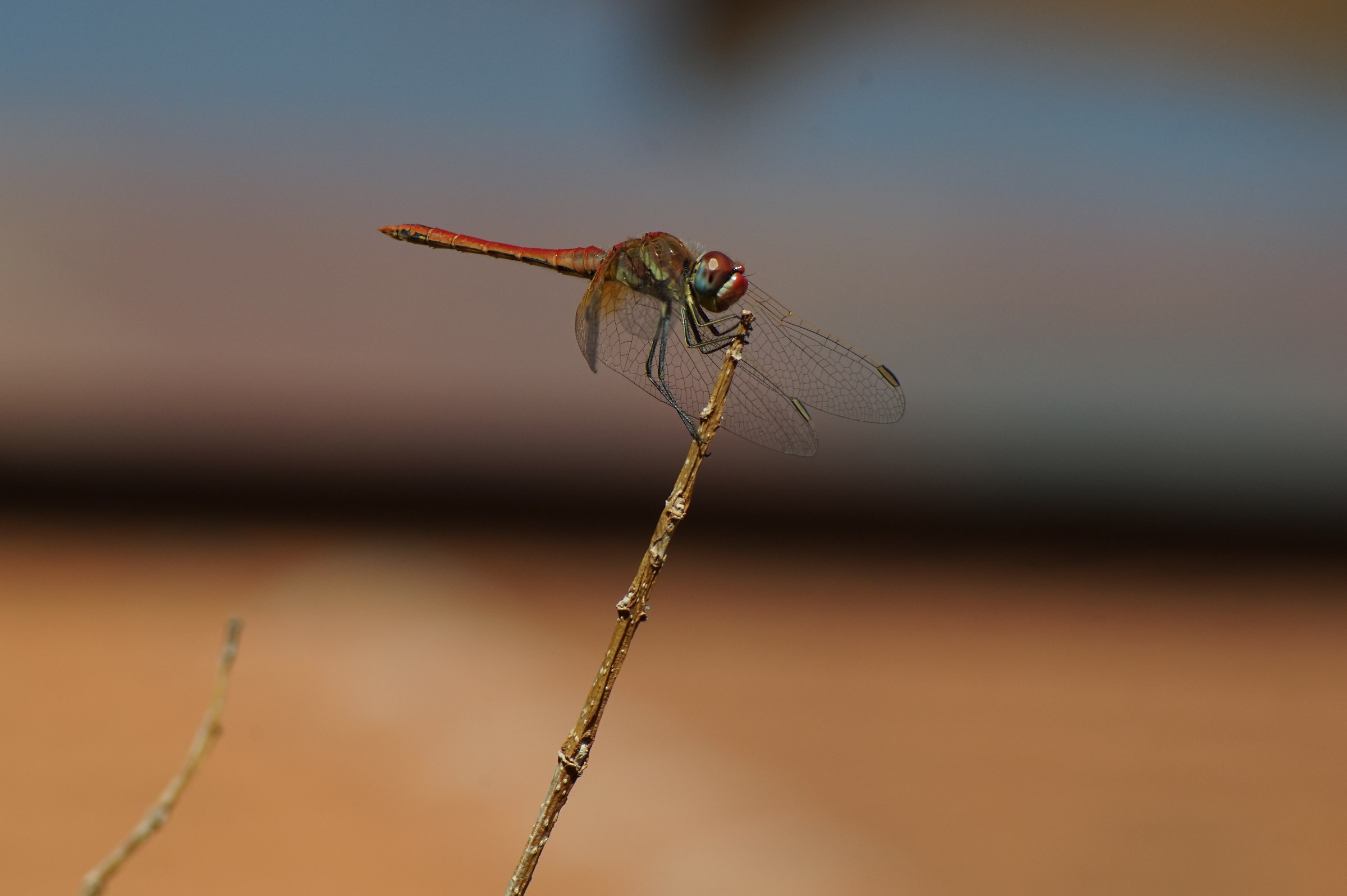 Are you taking a picture of me?