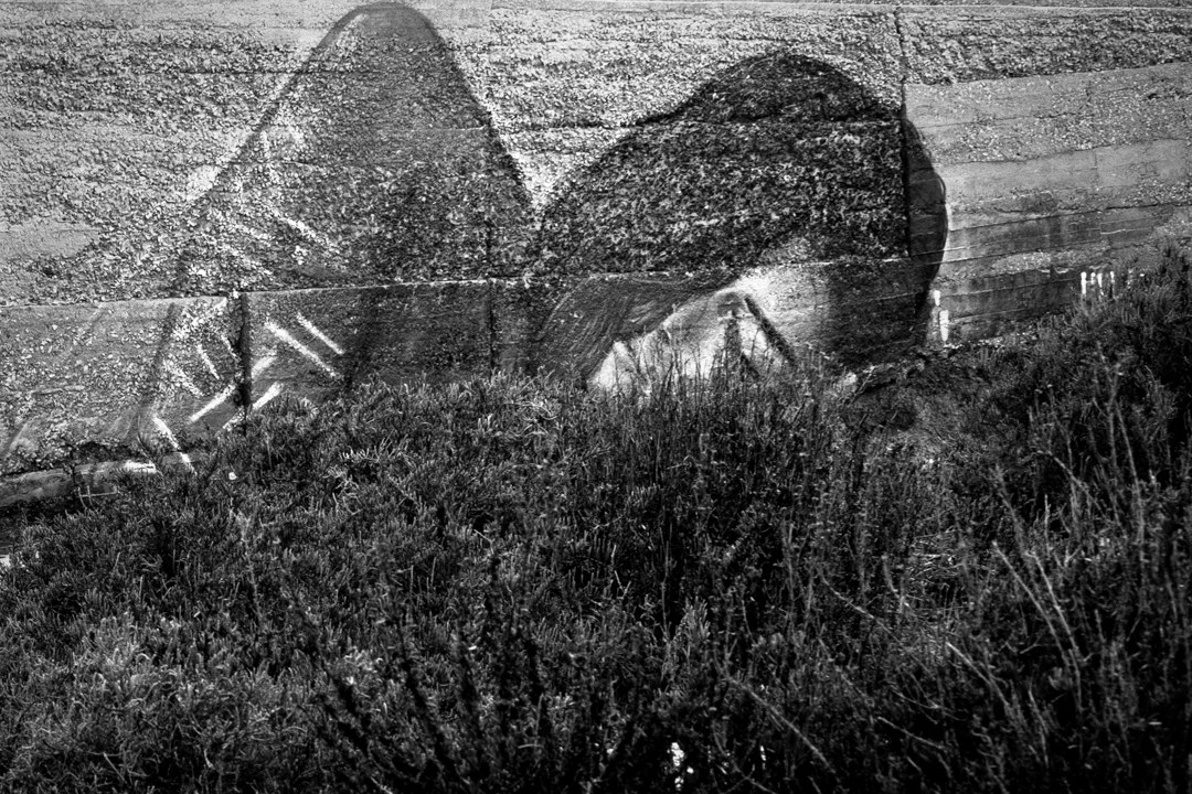 Buona Notte Fiorellino