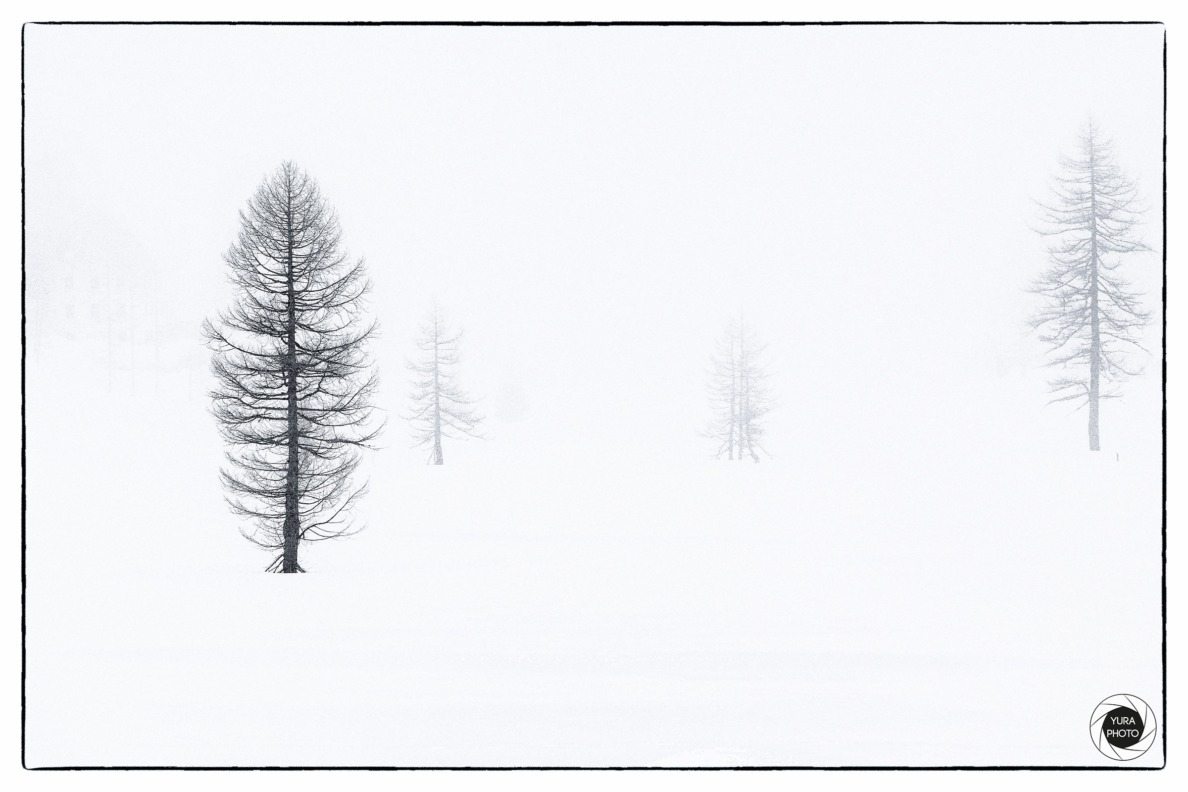 Pino and his brothers