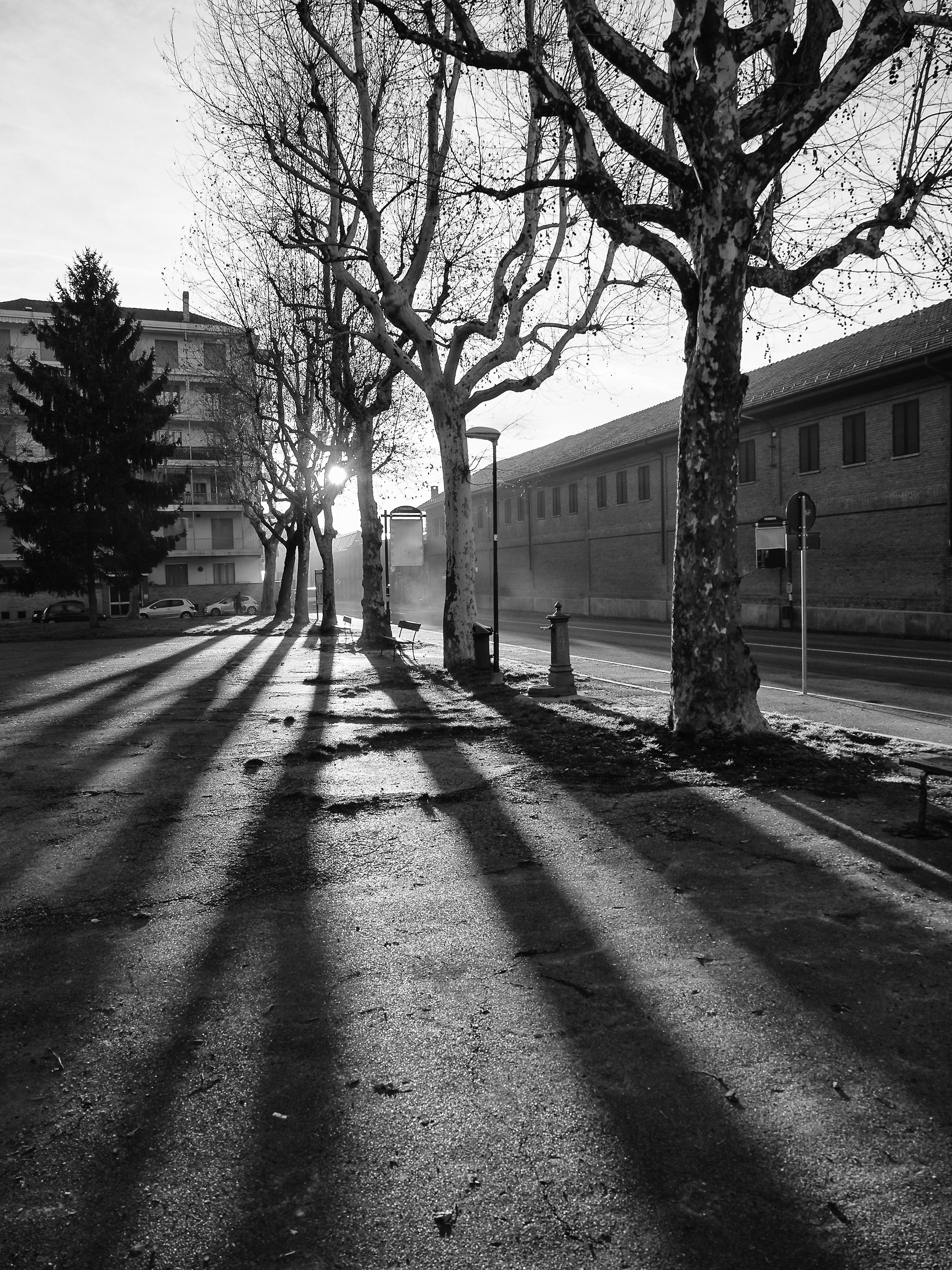 Piazza Banfi 7.20 hours