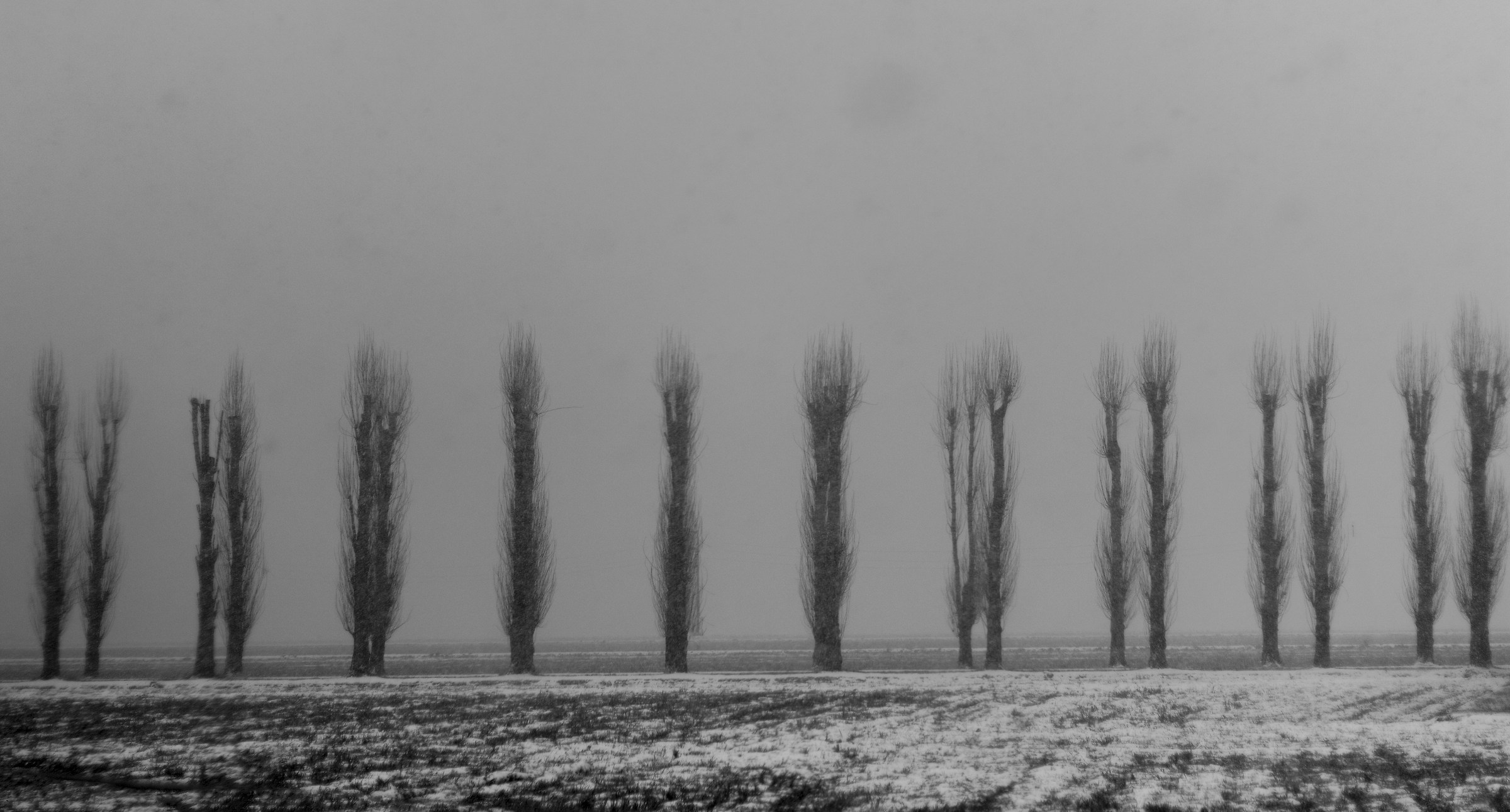 Nebbia 2
