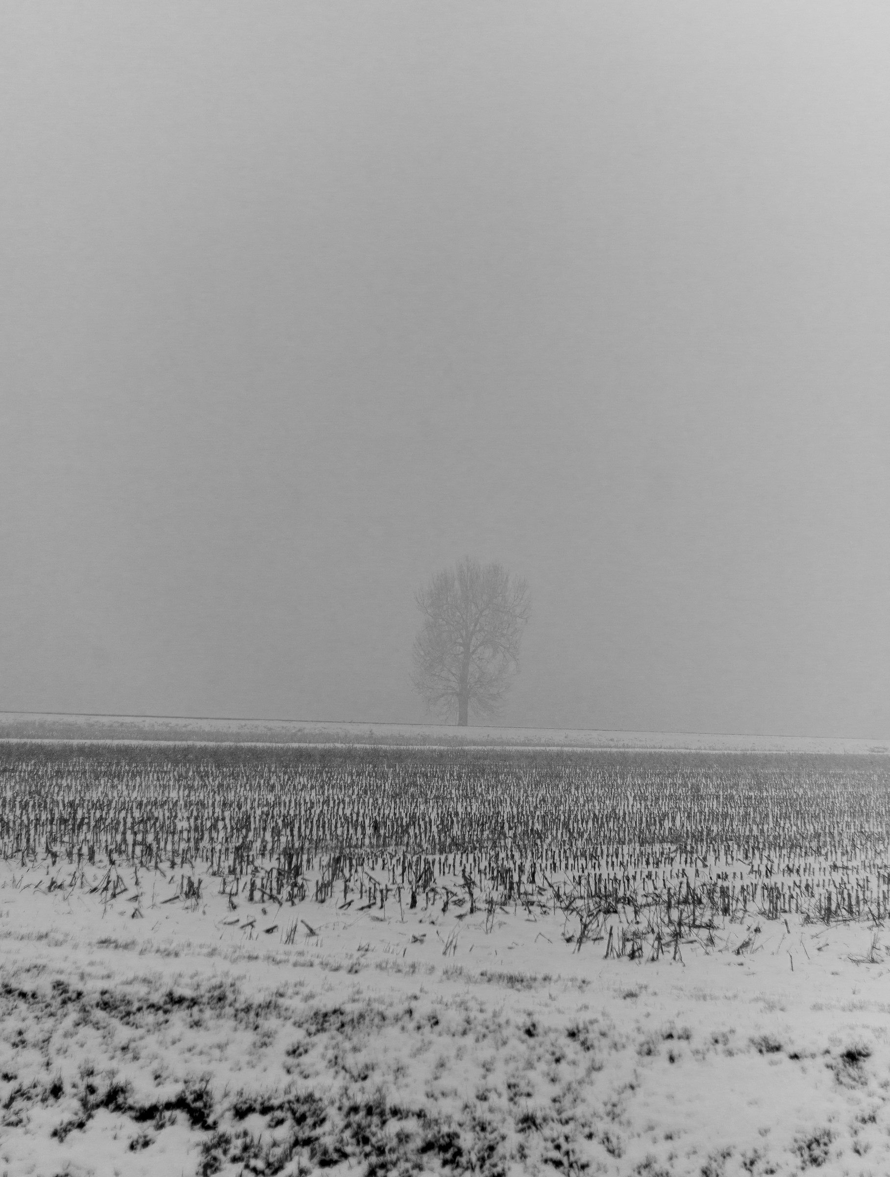 Il solitario