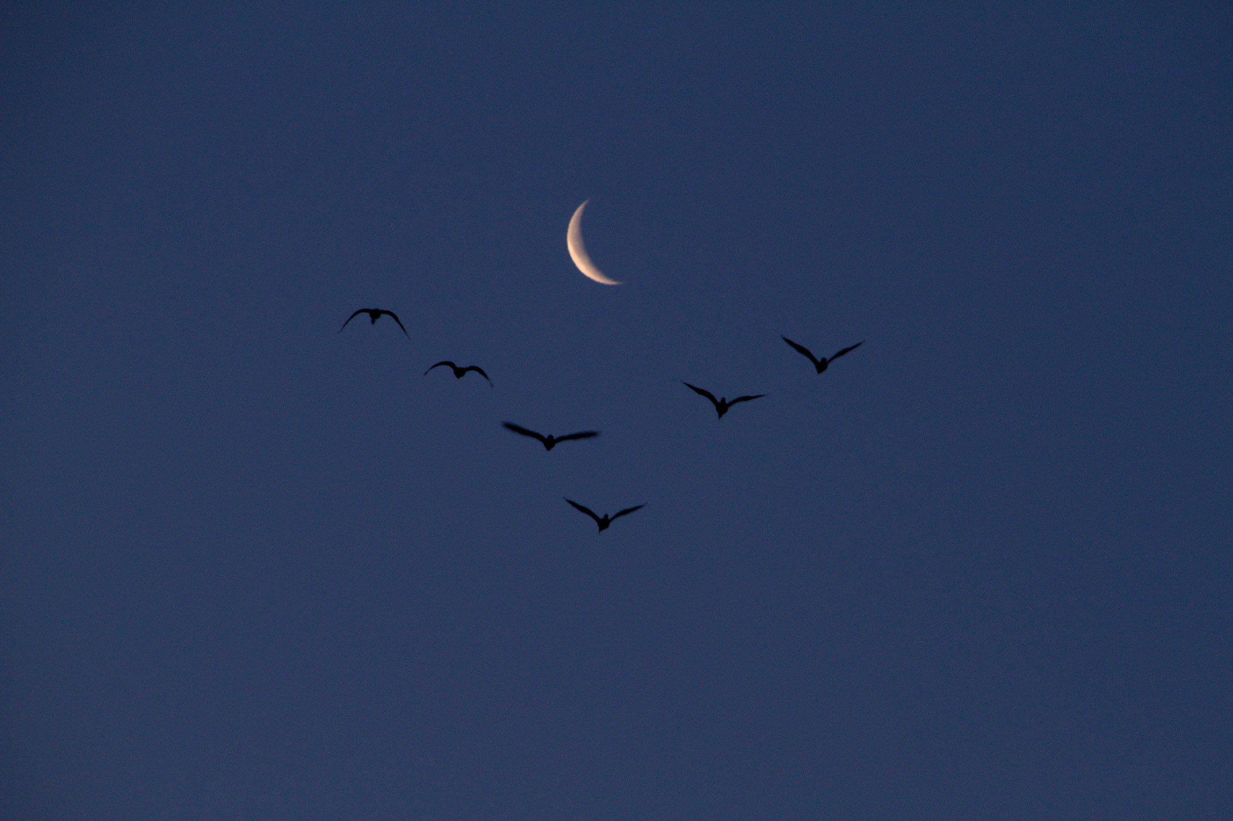 traveling to the moon