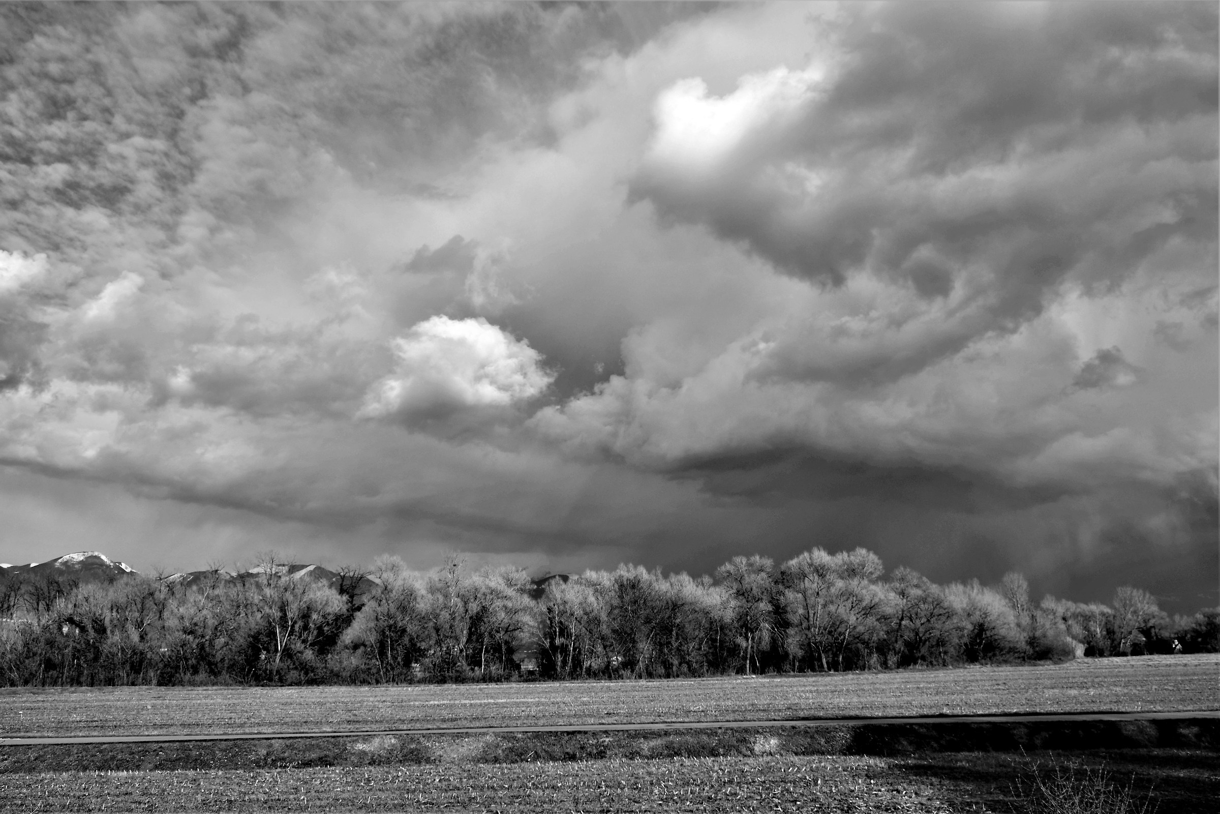 Paesaggio reatino marzolino