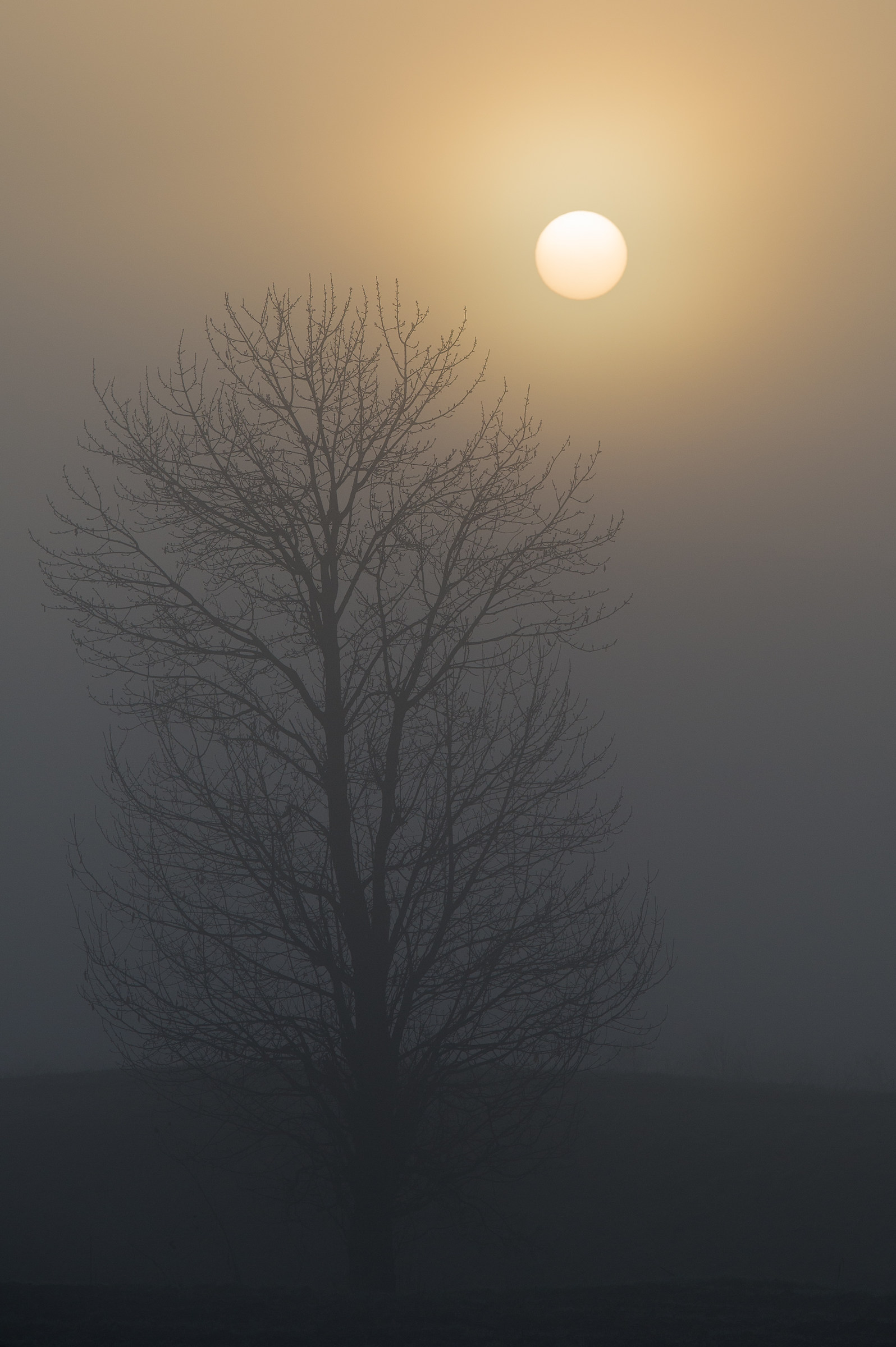 La nebbia agli irti colli... ma dove sono i colli?