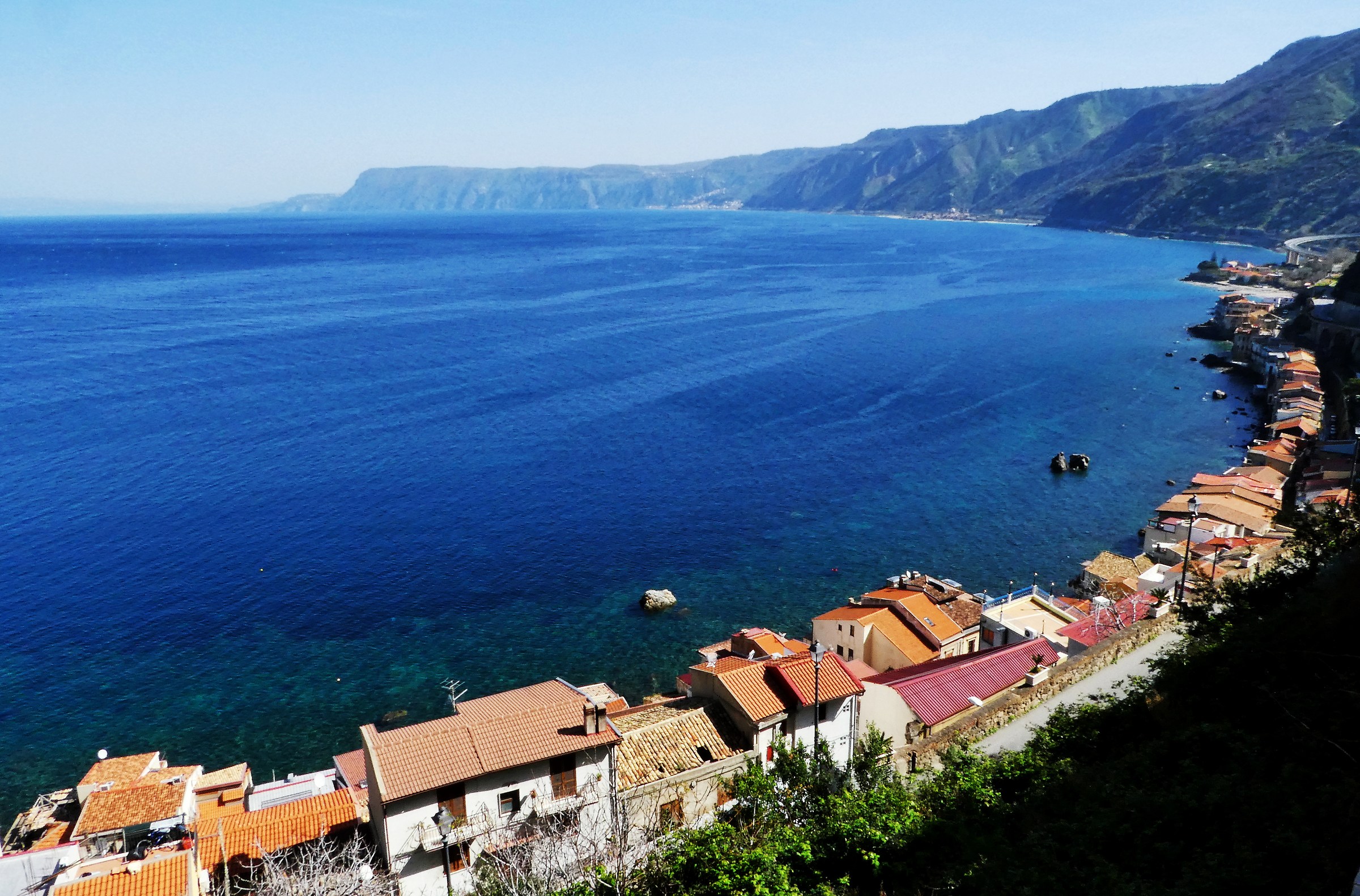 Scilla.The sea color of wine