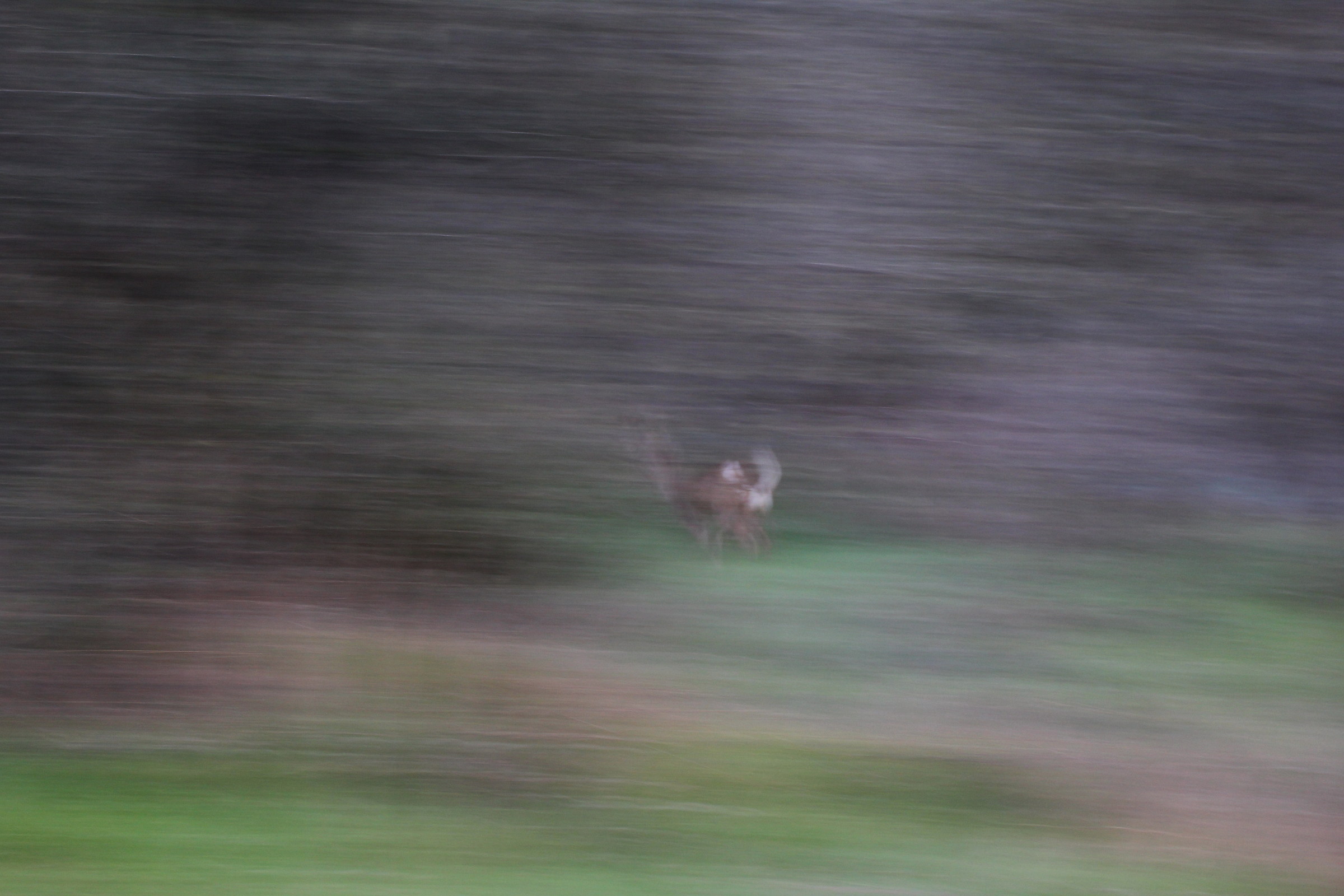 Sudden shots .. in all senses